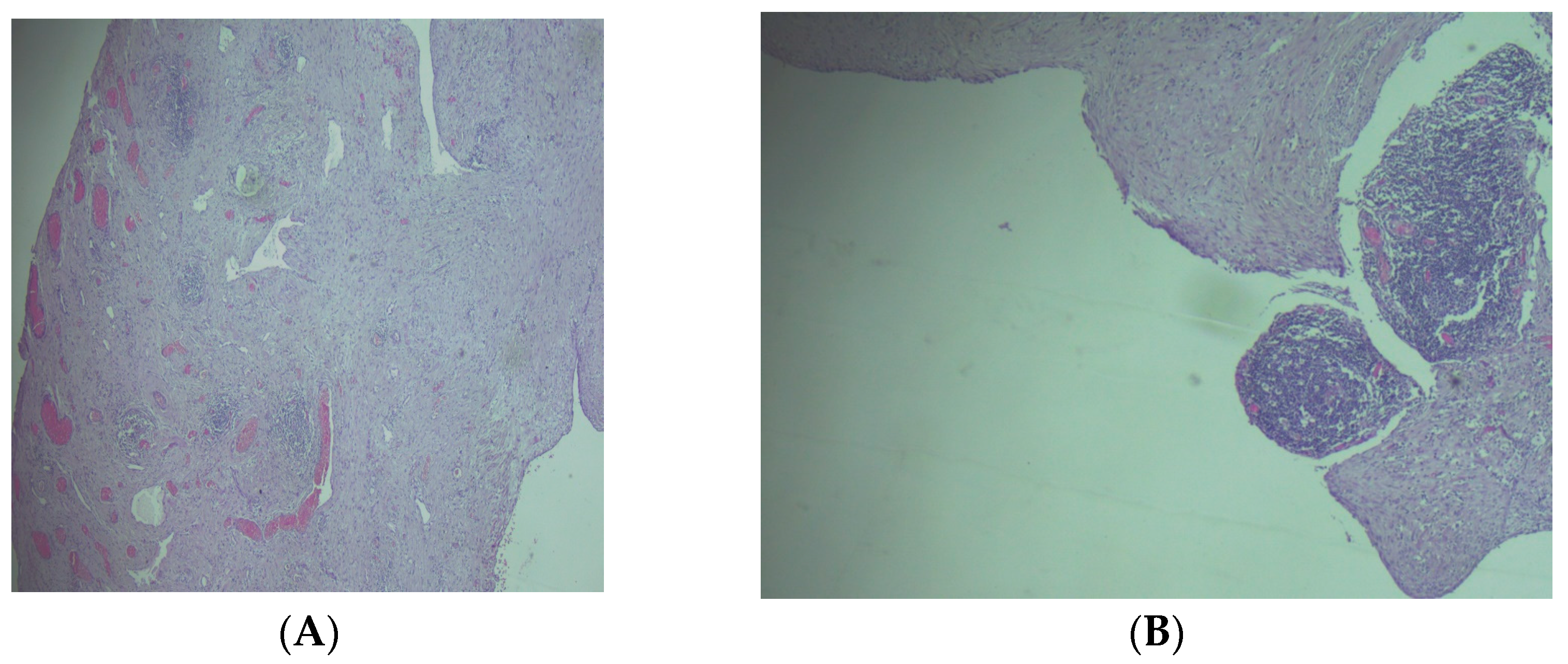 Clinpract 14 00059 g003 Clinpract 14 00059 g003