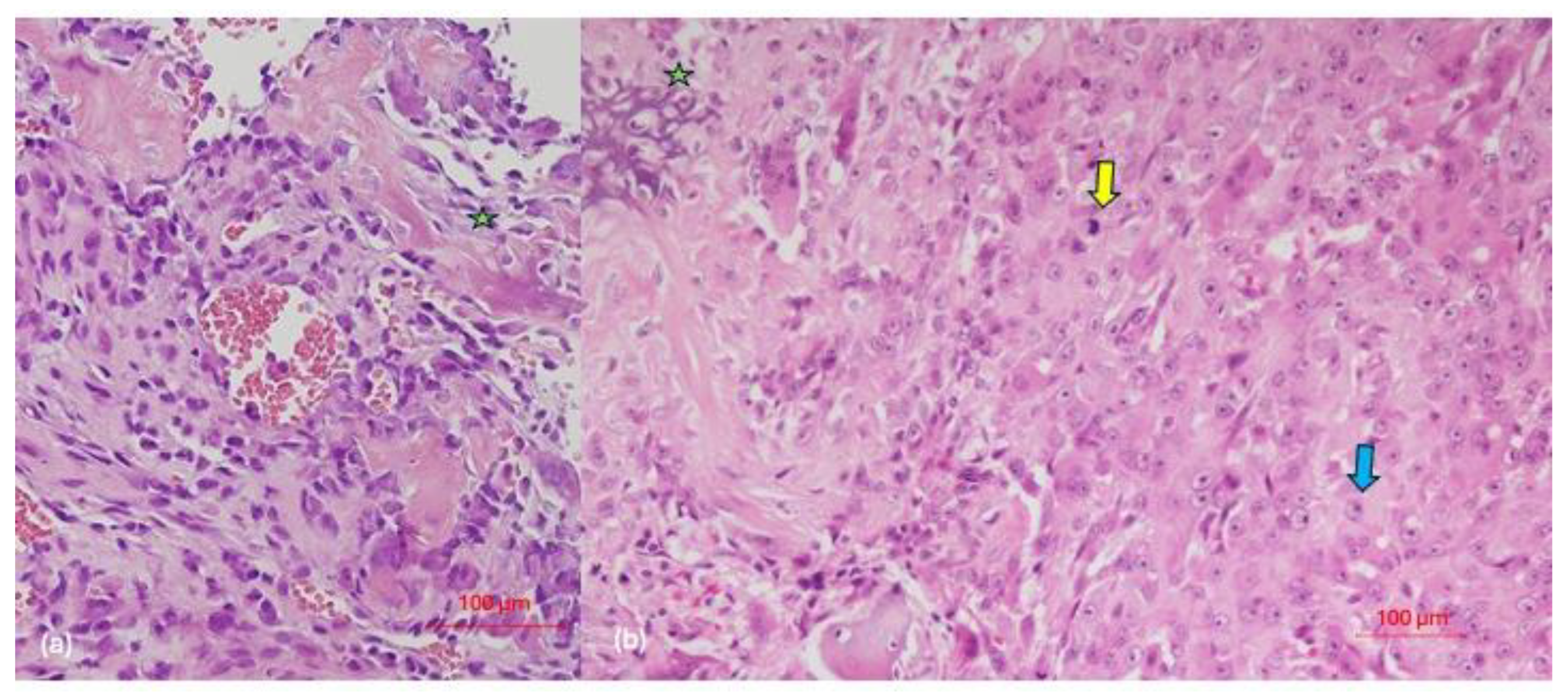 Clinpract 14 00077 g002