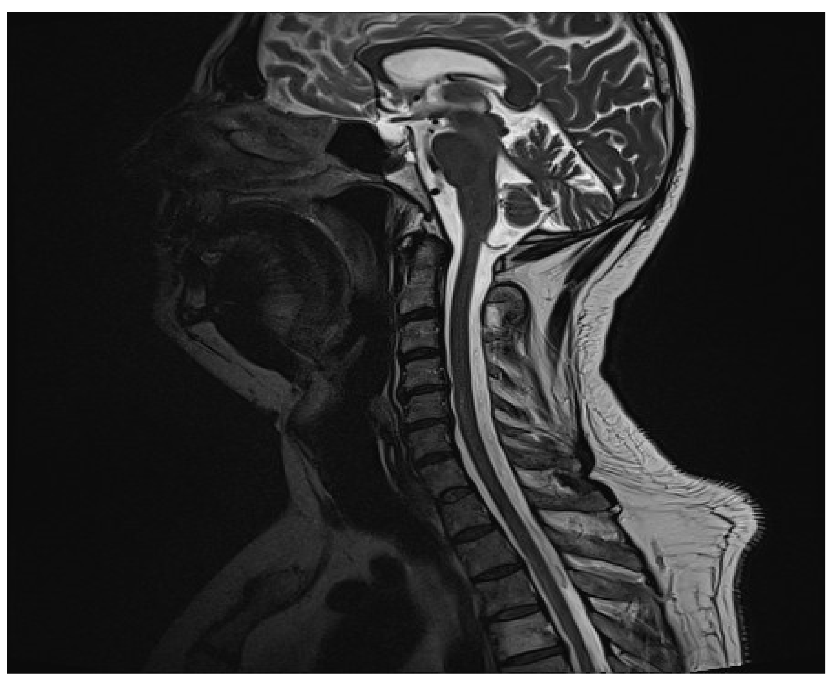 Clinpract 14 00085 g001