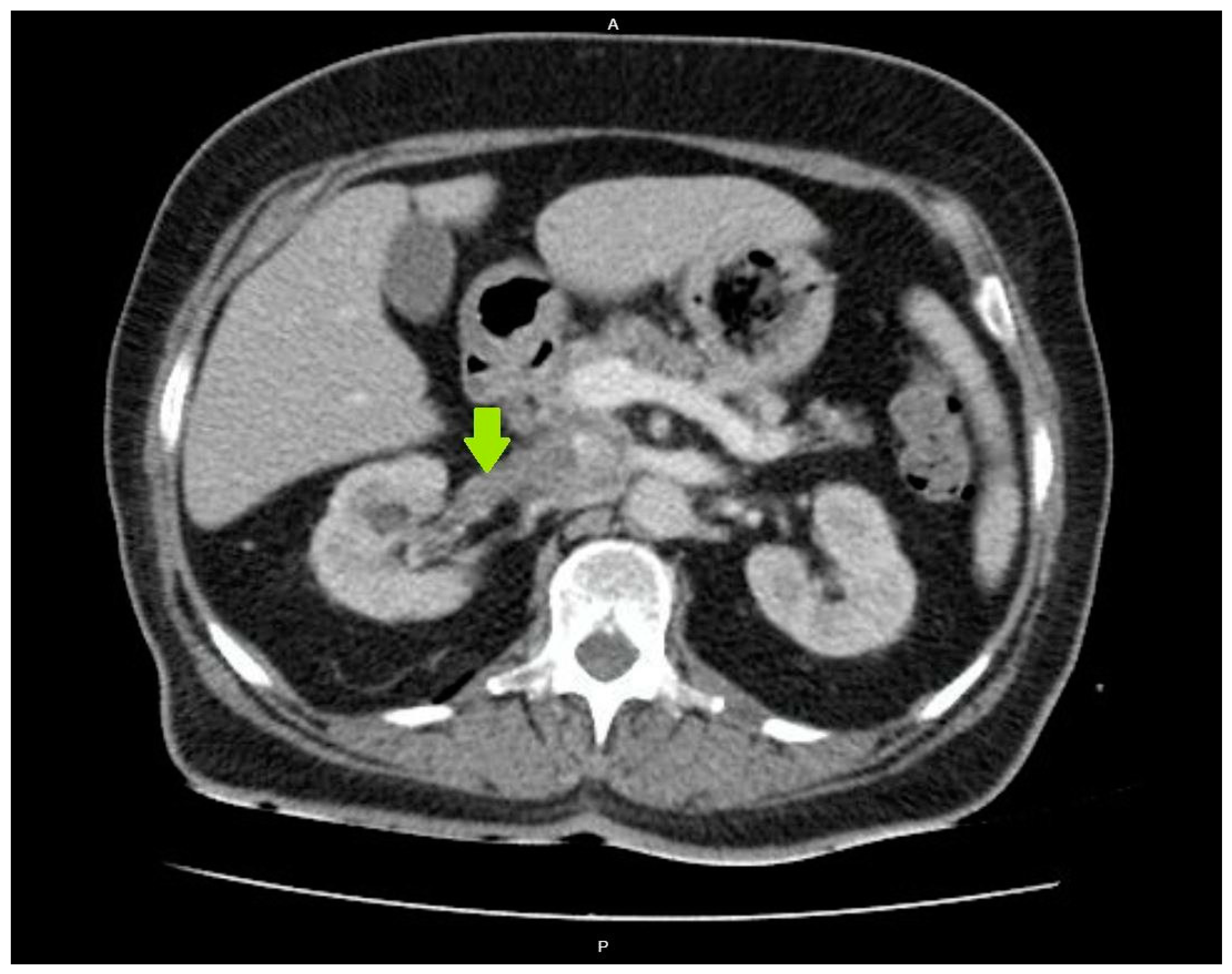 Clinpract 14 00088 g001 Clinpract 14 00088 g001