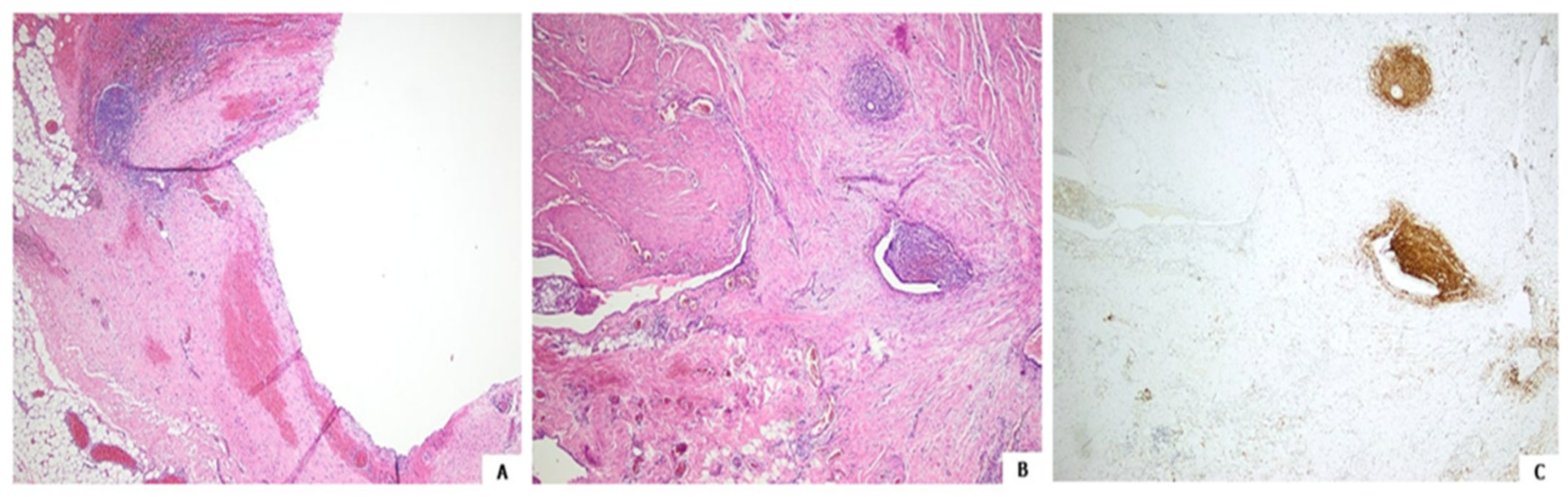 Clinpract 14 00100 g003