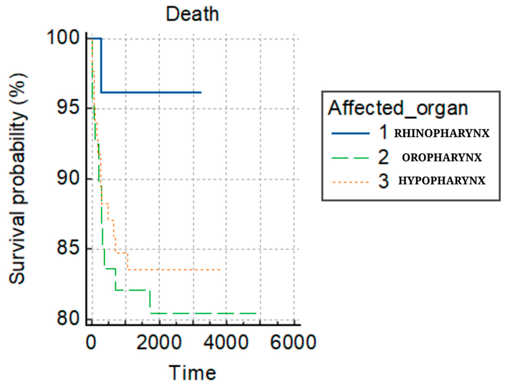 Clinpract 14 00103 g001