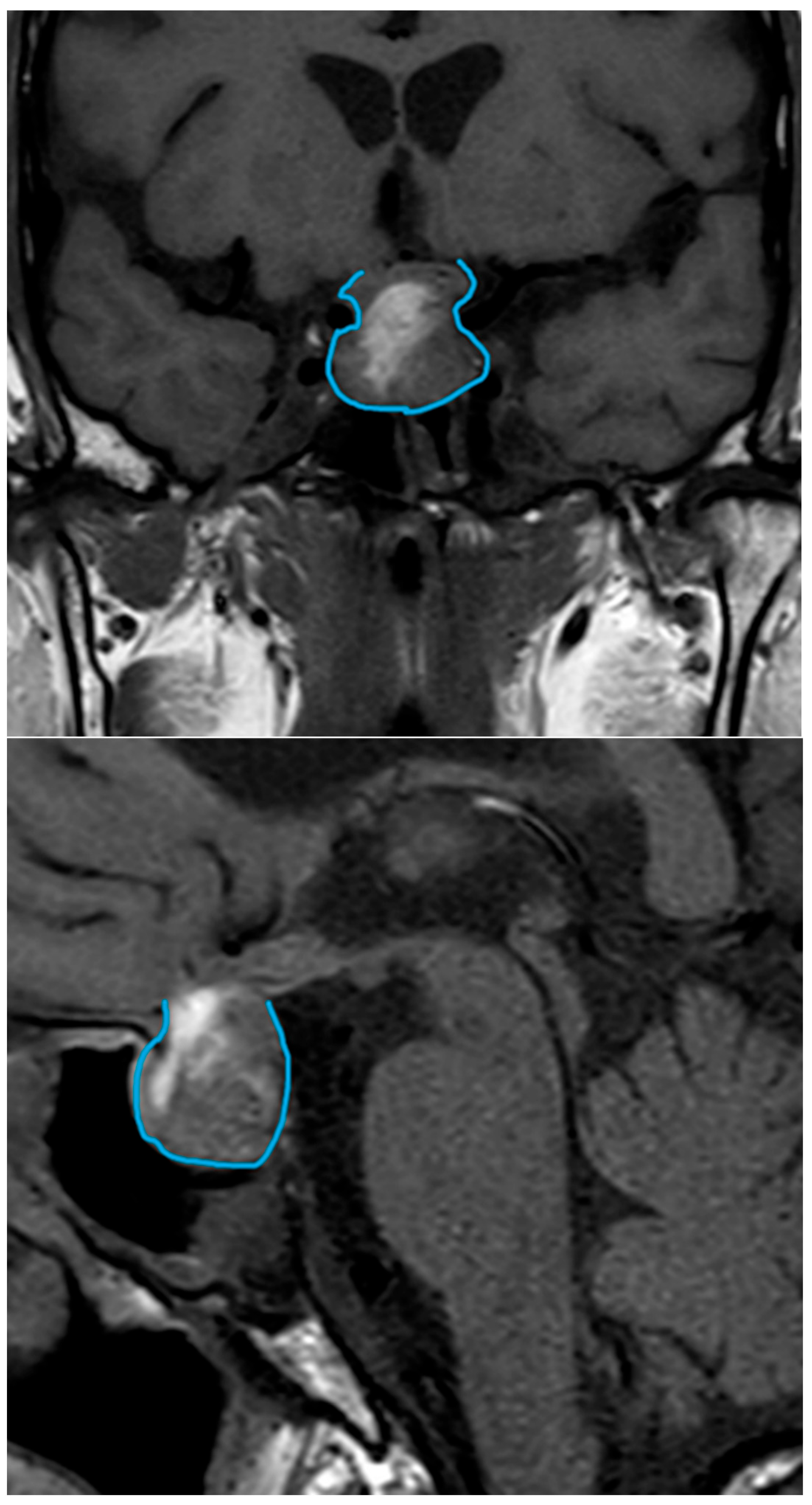 Clinpract 14 00106 g001 Clinpract 14 00106 g001