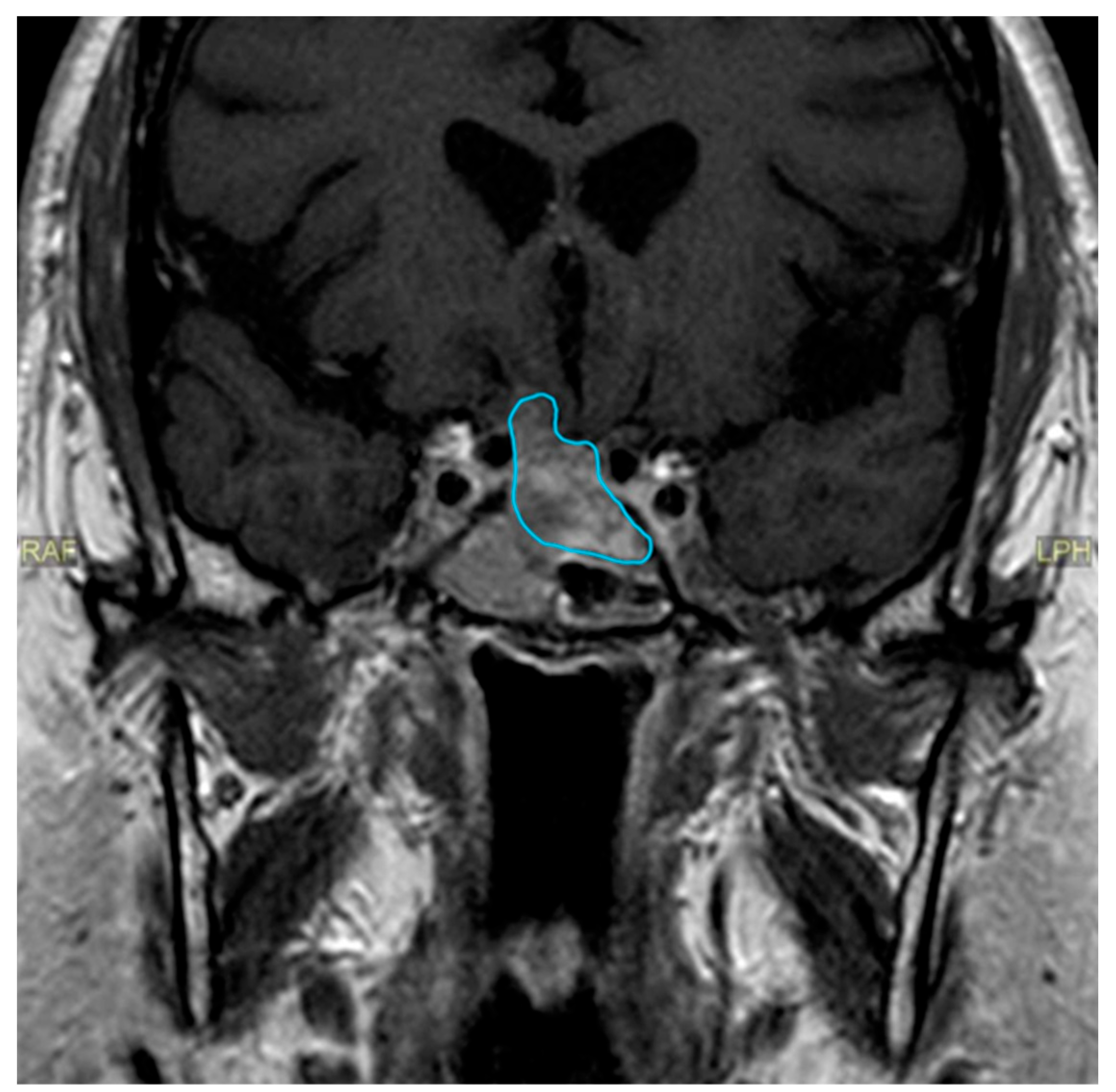 Clinpract 14 00106 g002 Clinpract 14 00106 g002