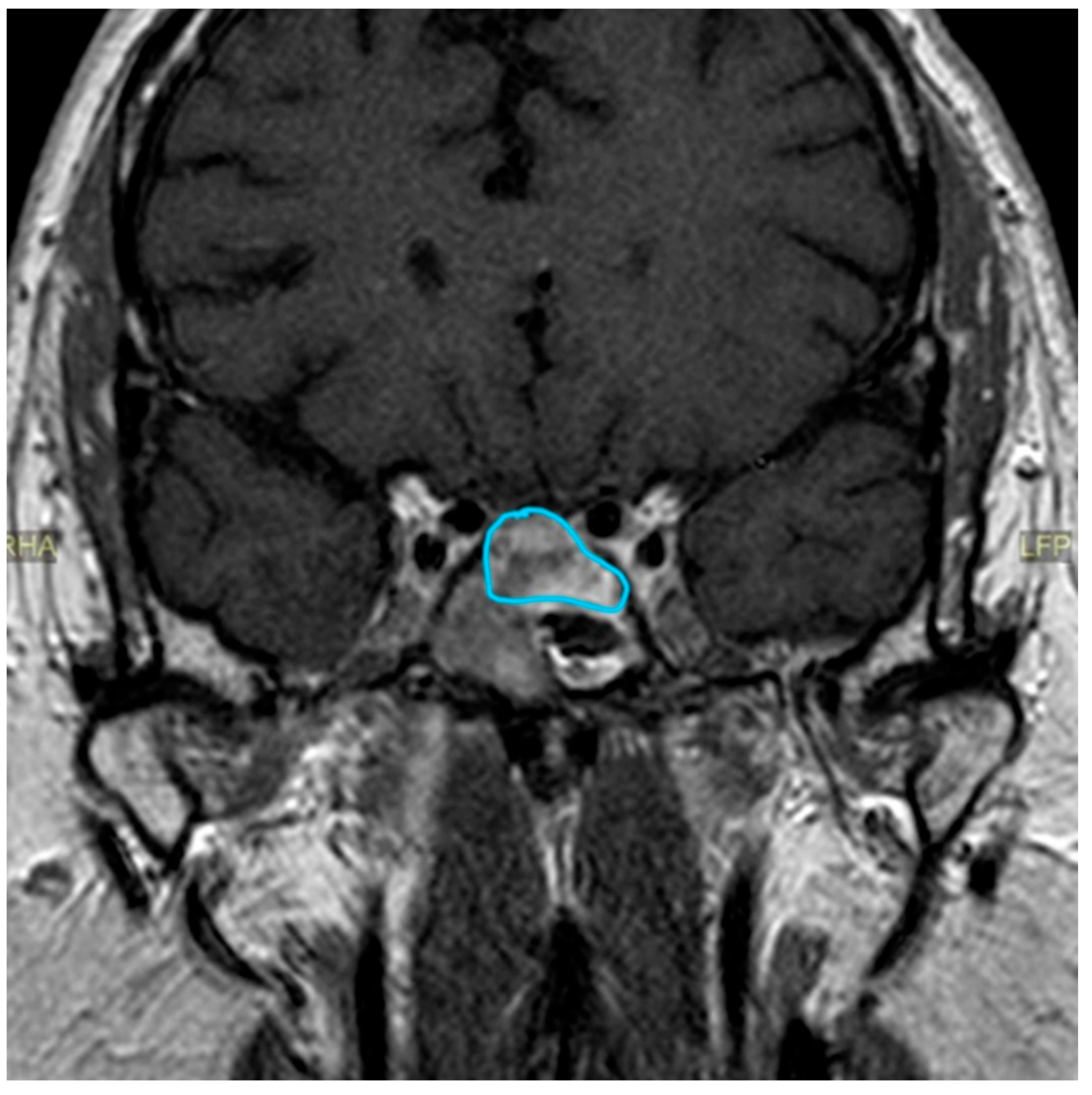 Clinpract 14 00106 g003 Clinpract 14 00106 g003