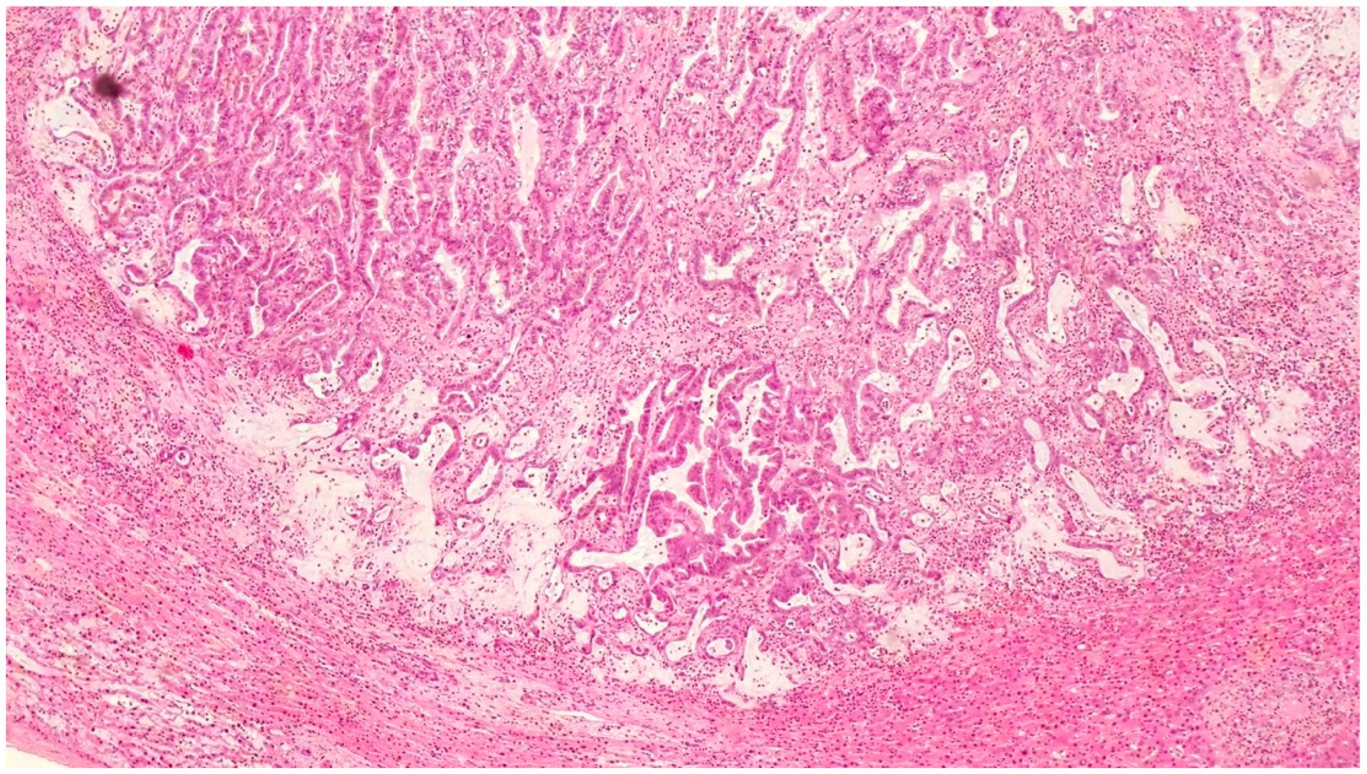 Clinpract 14 00133 g009