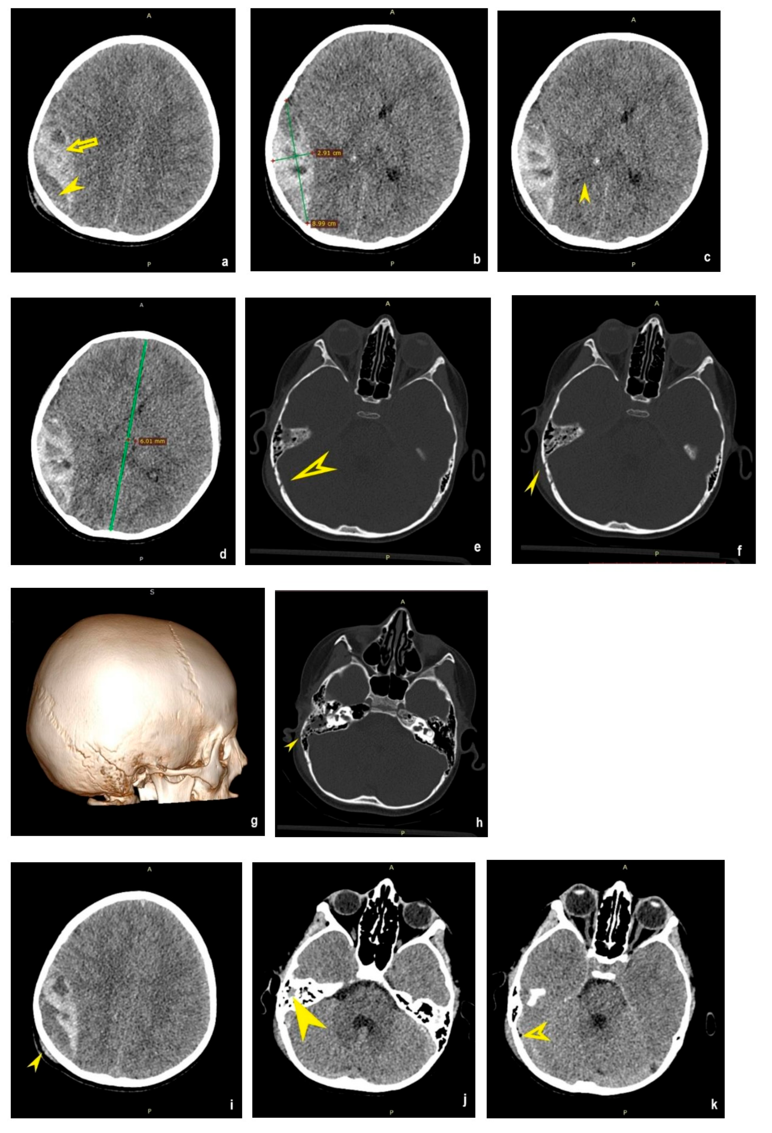 Clinpract 14 00145 g001