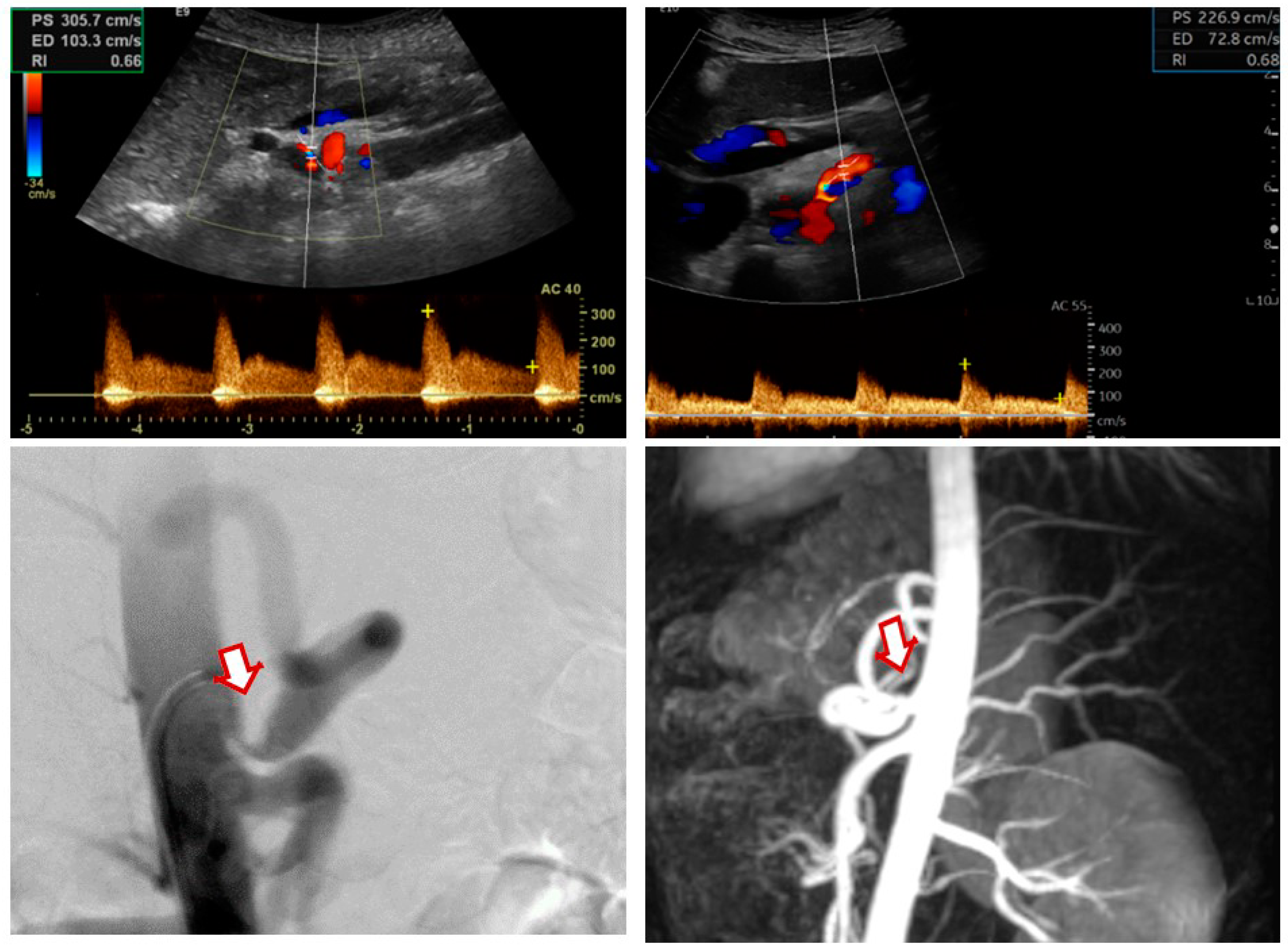 Clinpract 14 00151 g002