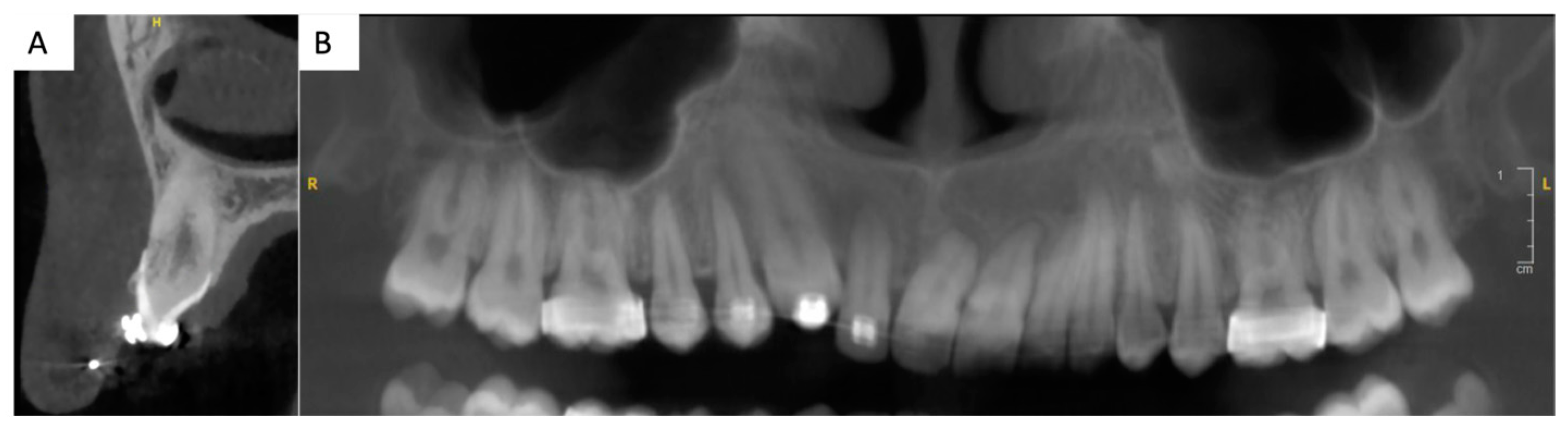 Clinpract 14 00159 g002