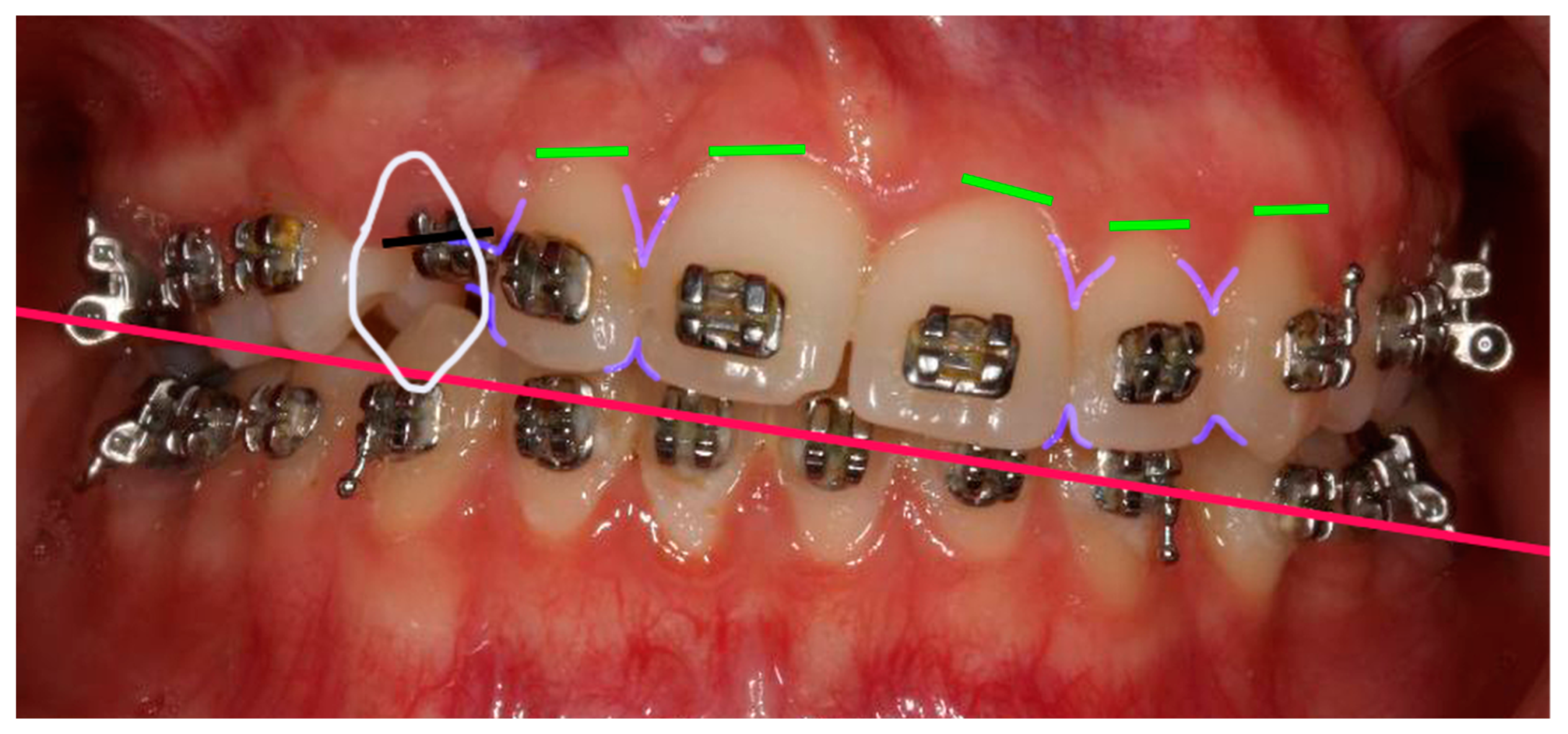Clinpract 14 00159 g004