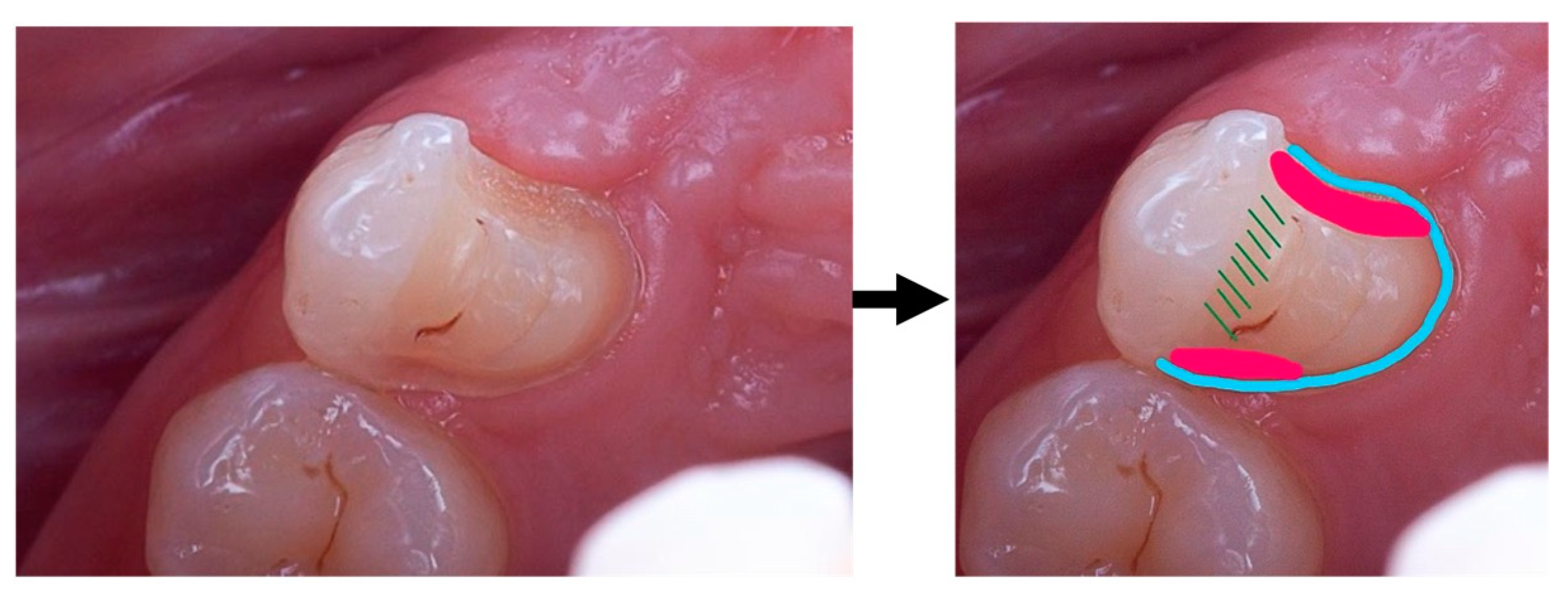 Clinpract 14 00159 g008