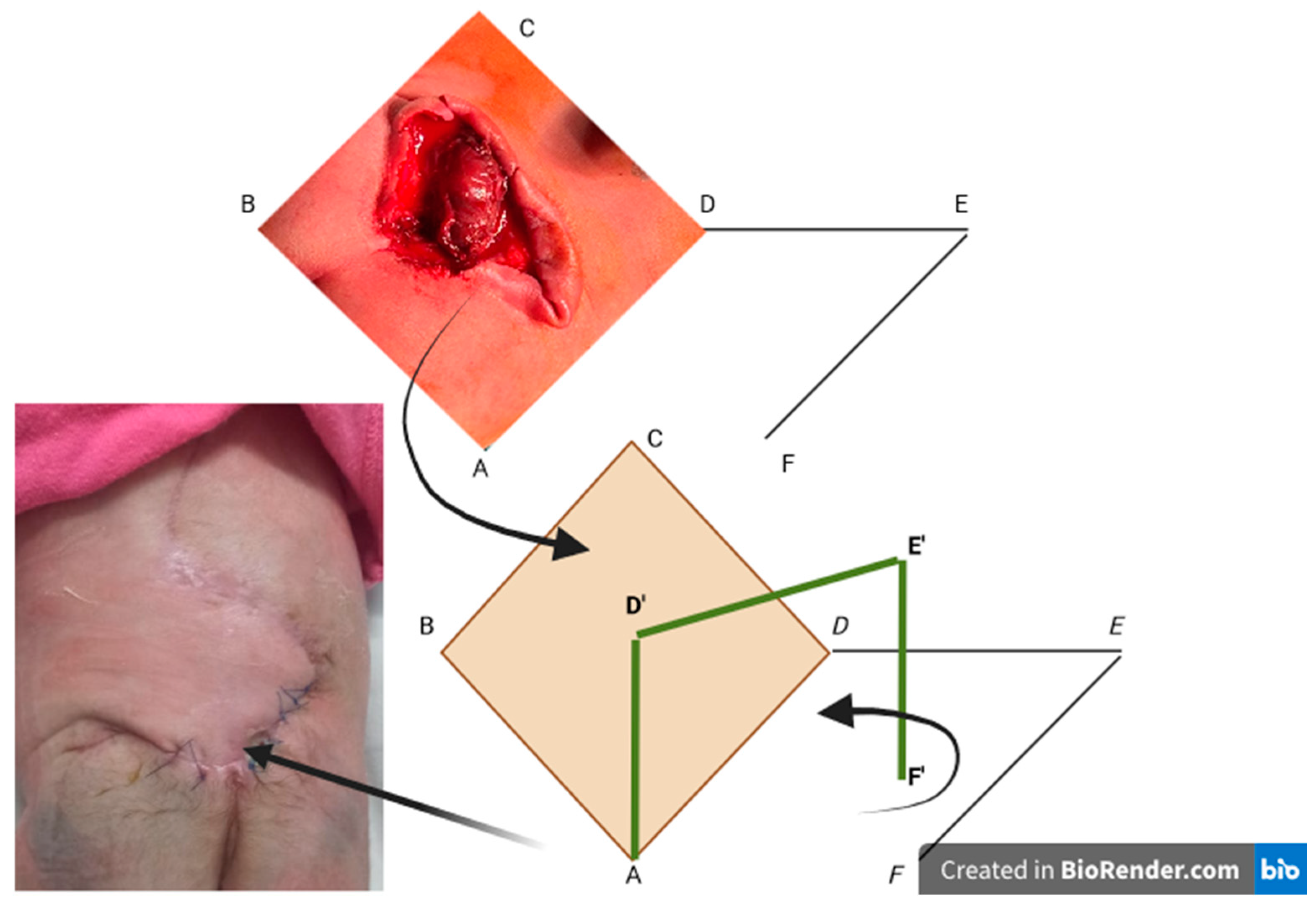 Clinpract 14 00162 g002