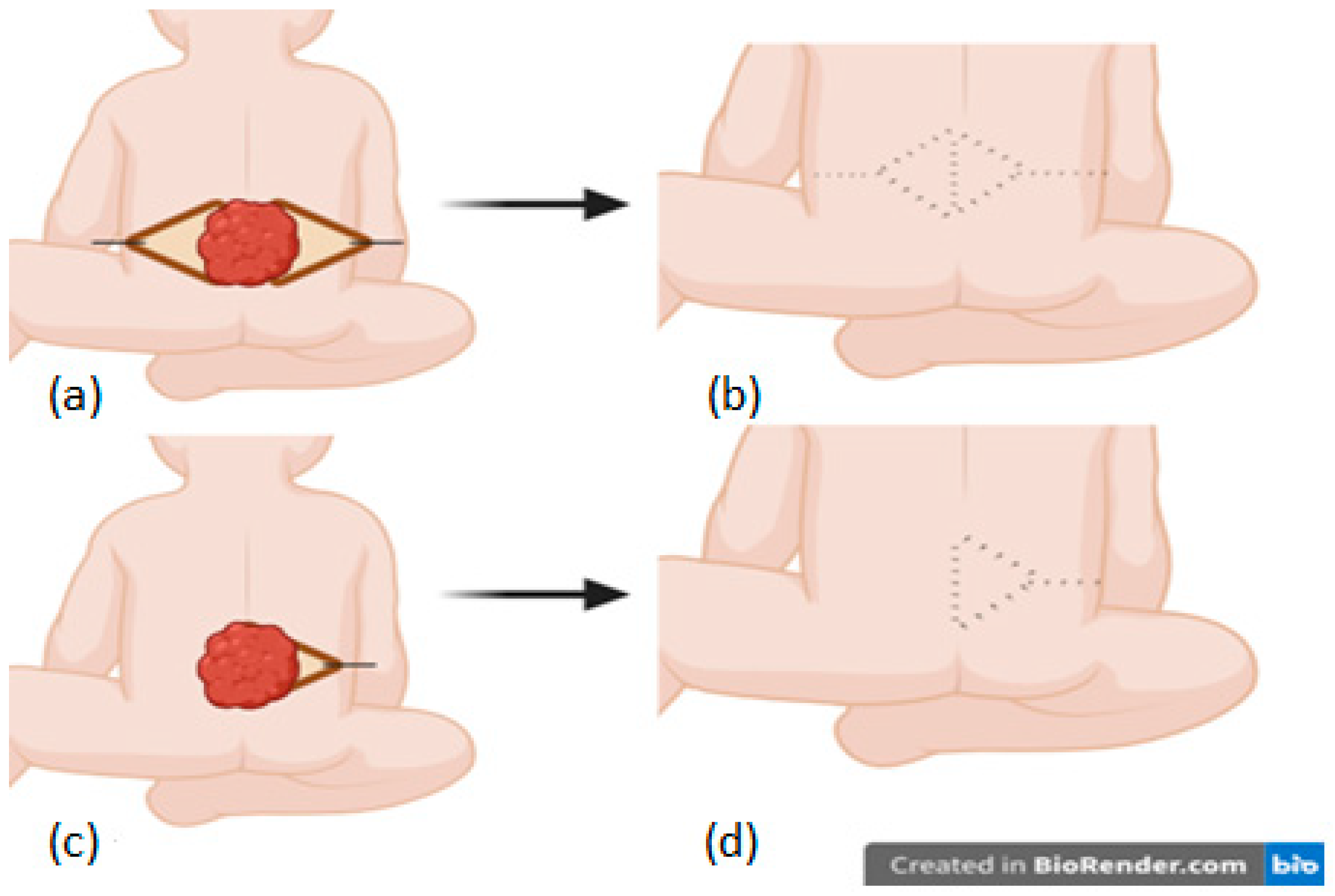 Clinpract 14 00162 g003