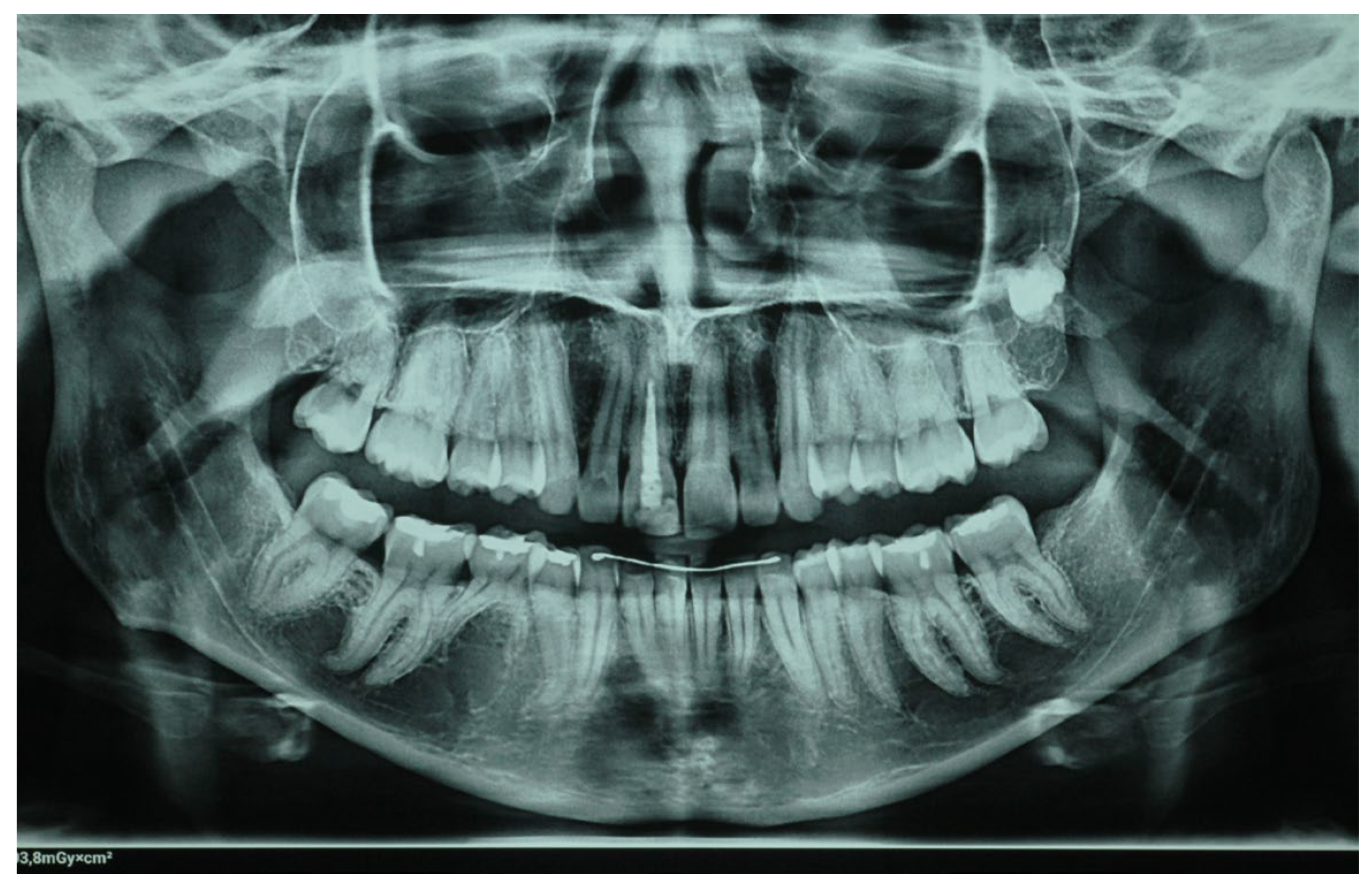 Clinpract 14 00164 g002