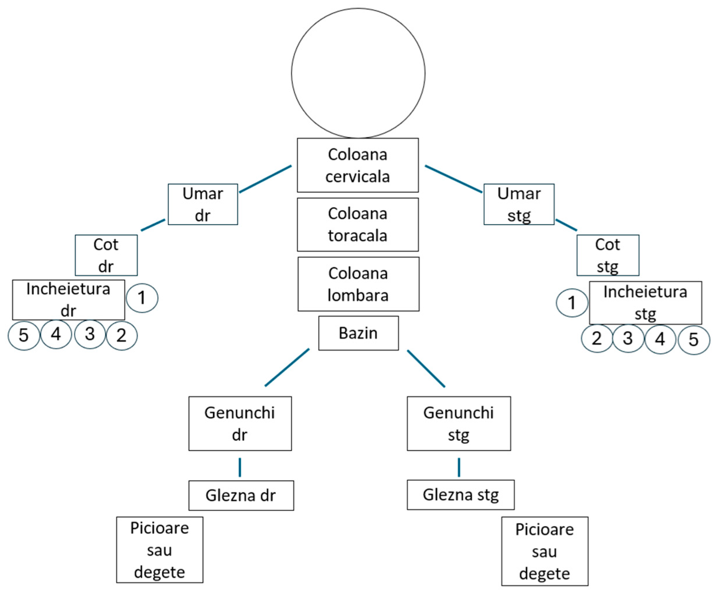 Clinpract 14 00168 g003