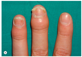 Clinpract 14 00168 i002