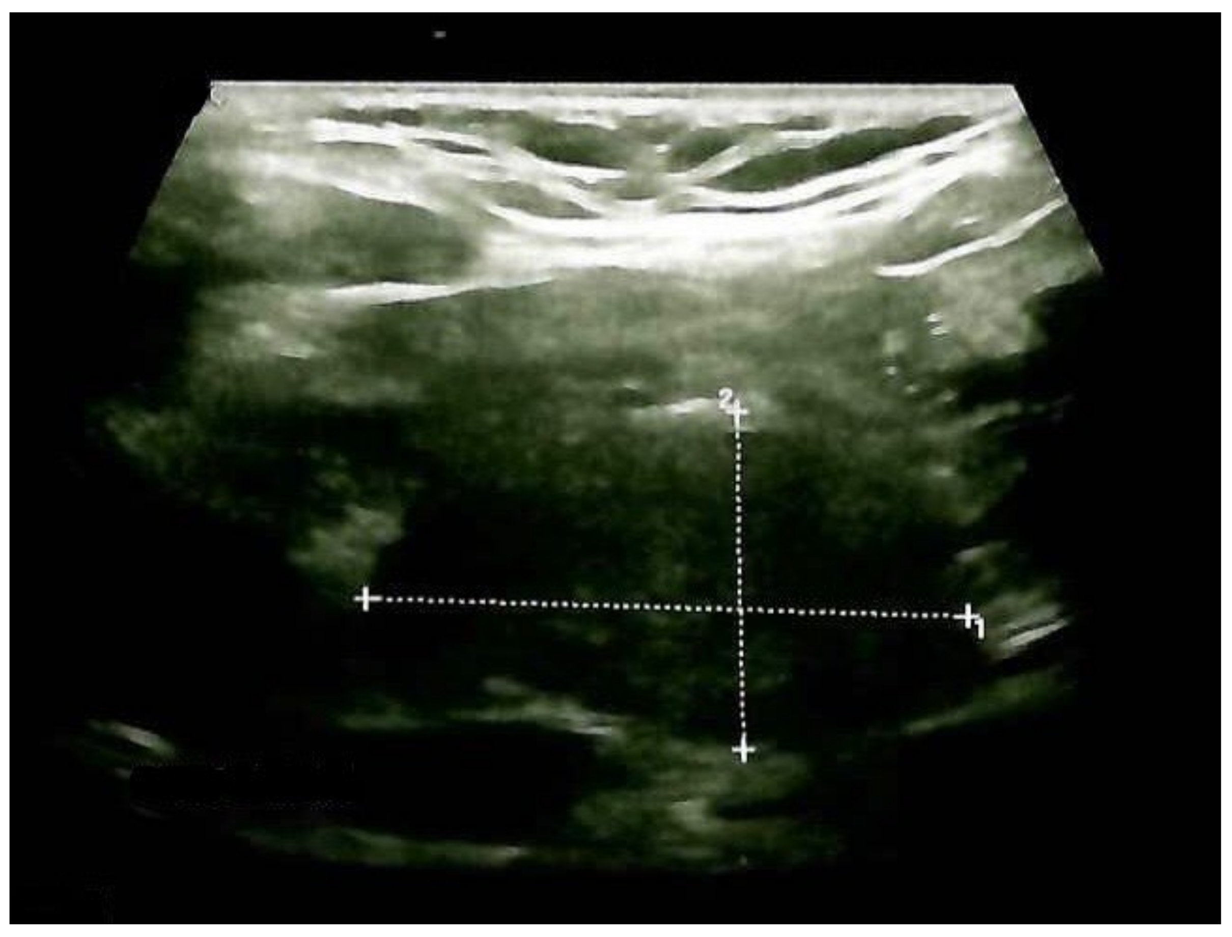 Clinpract 14 00175 g005