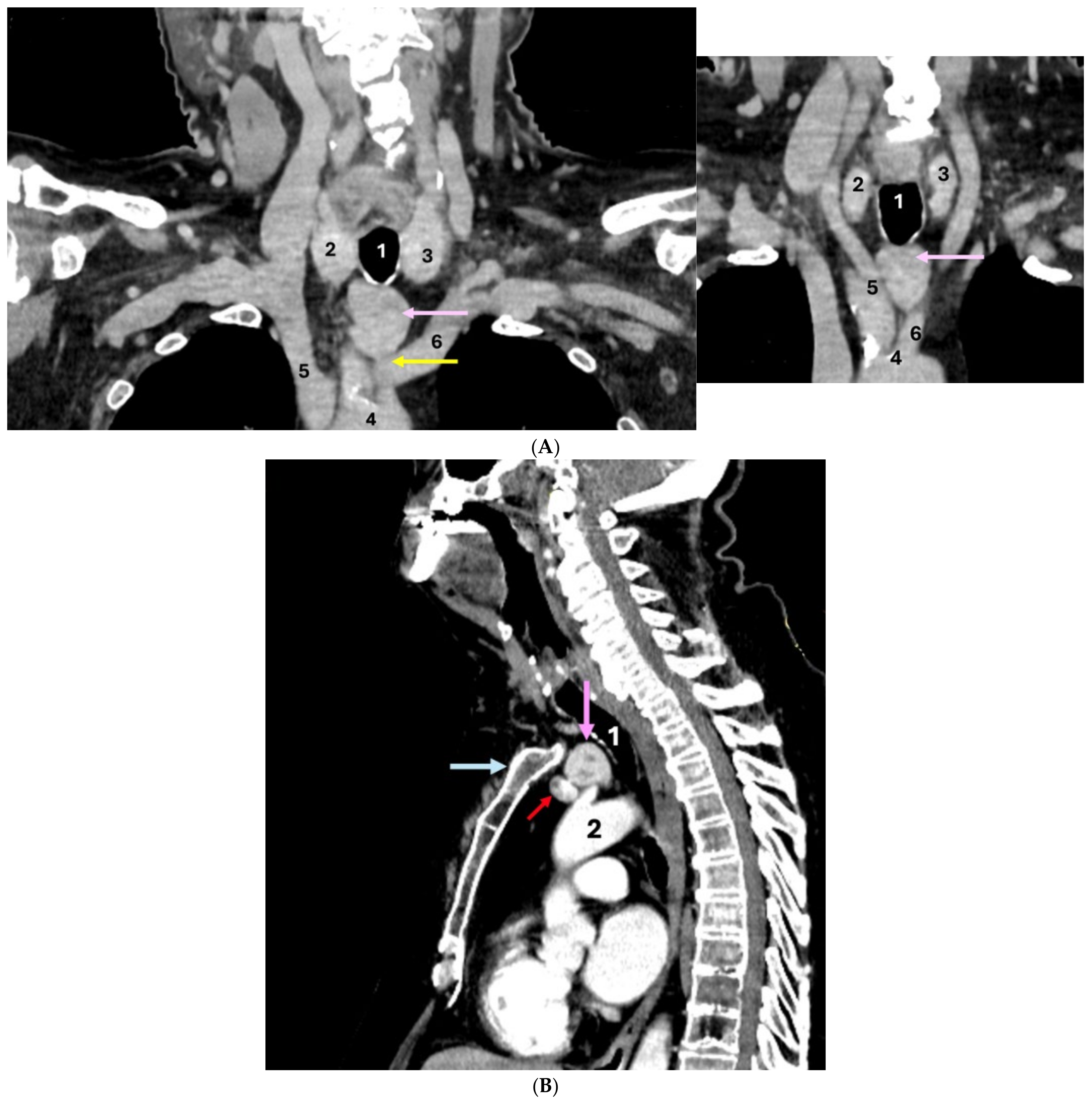 Clinpract 14 00175 g006