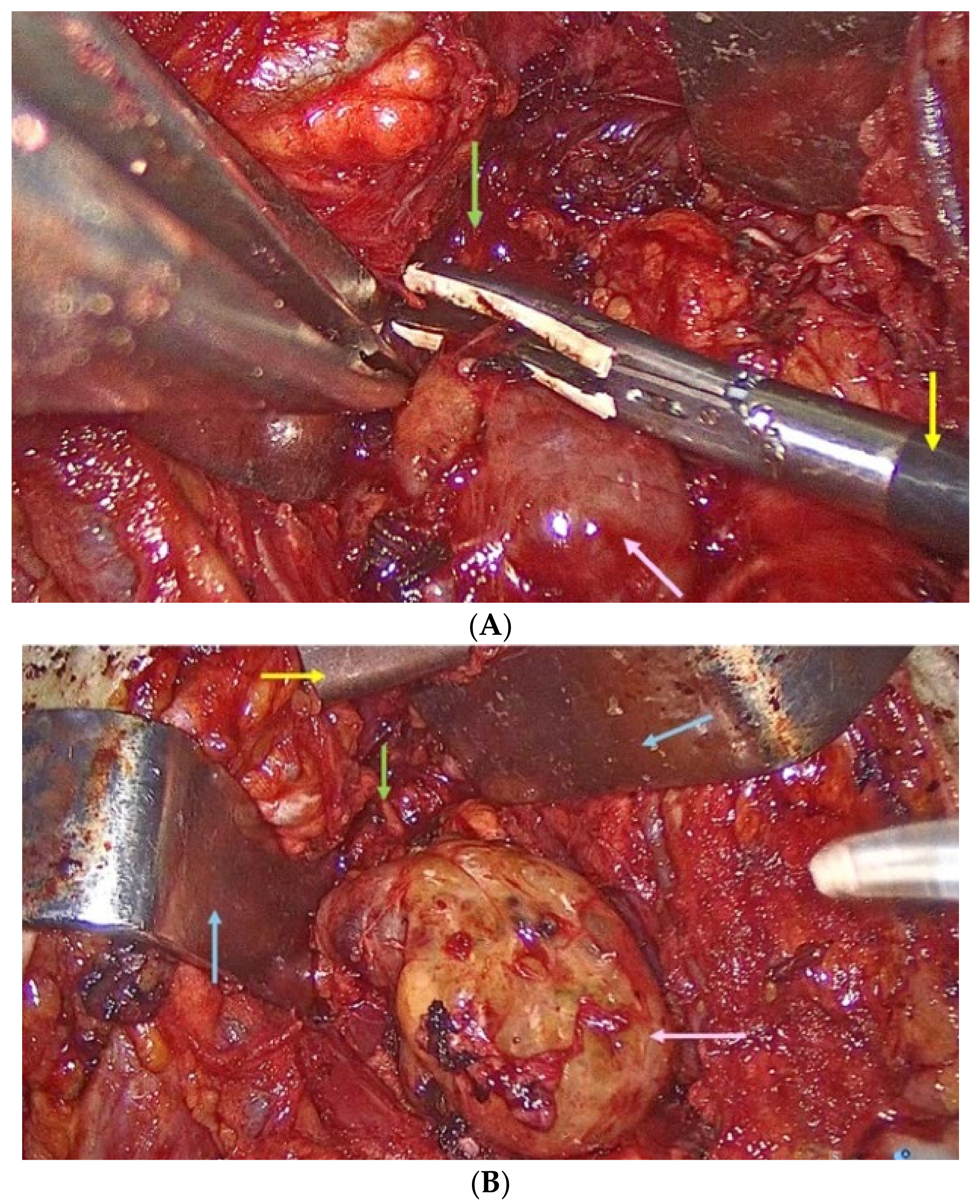 Clinpract 14 00175 g008