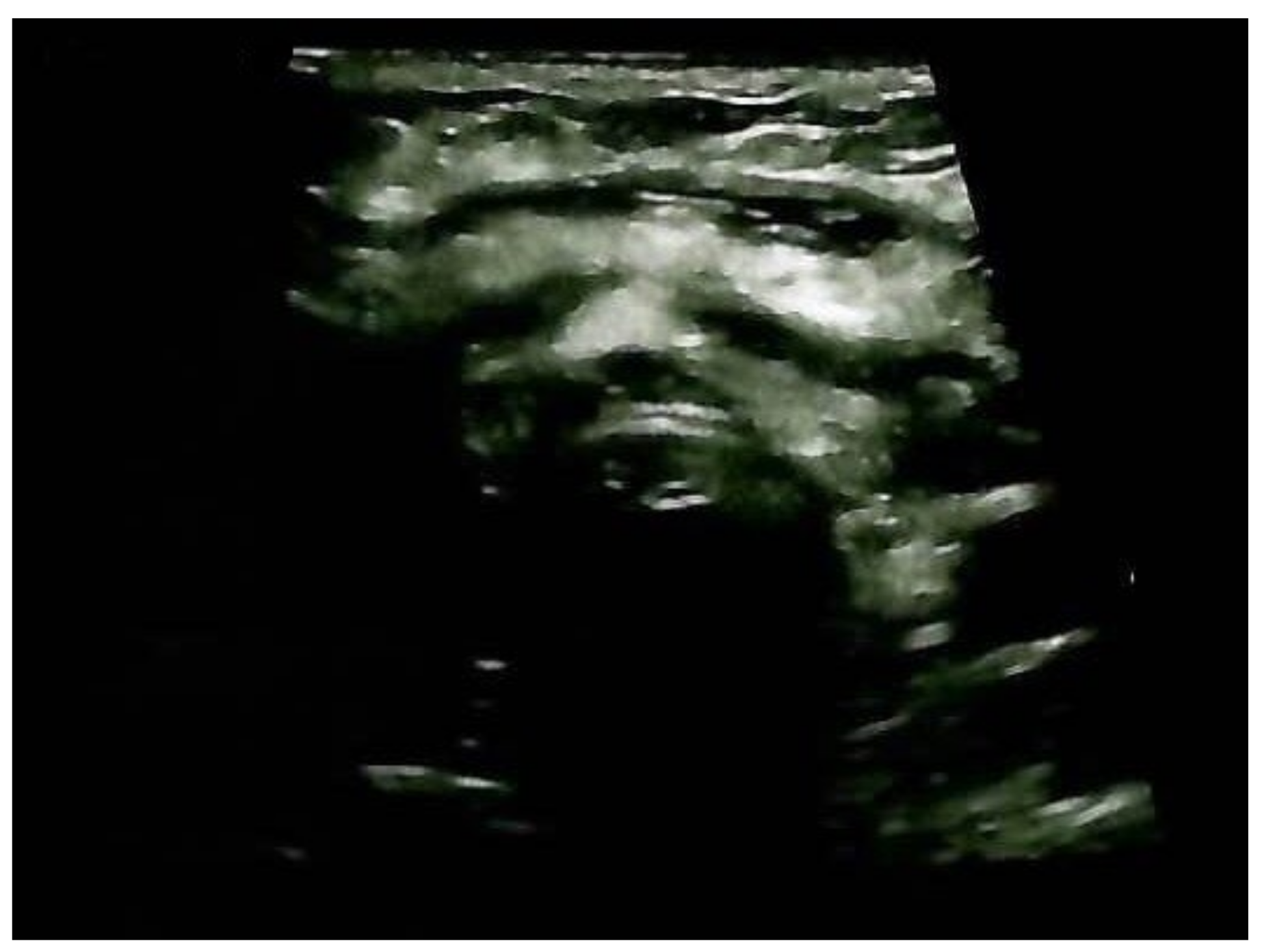 Clinpract 14 00175 g011