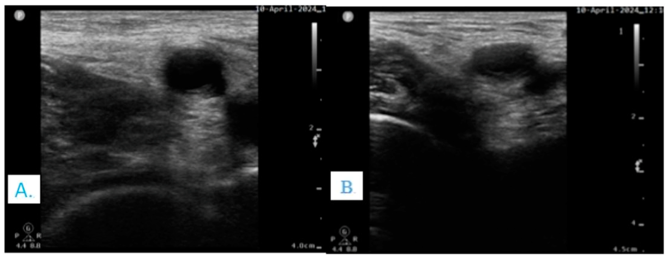 Clinpract 14 00177 g001 Clinpract 14 00177 g001