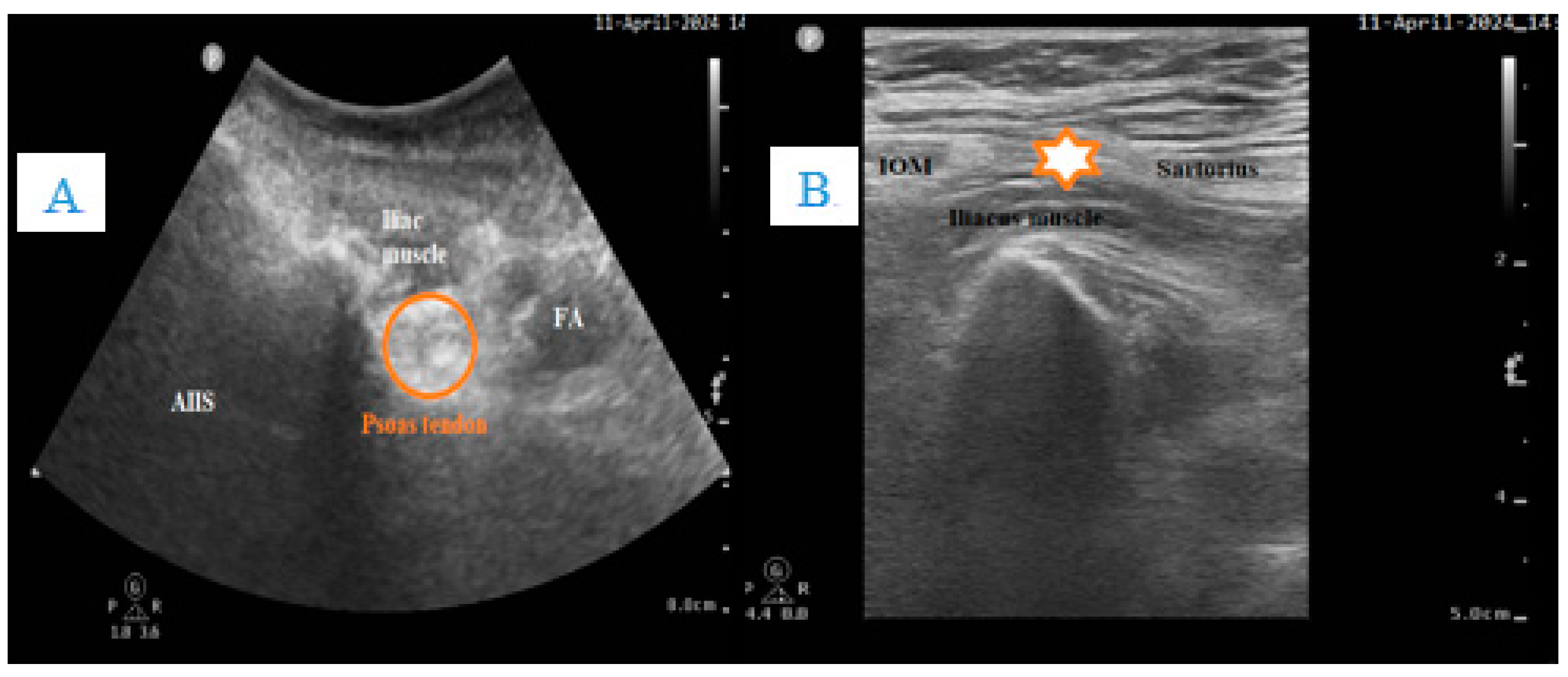 Clinpract 14 00177 g002 Clinpract 14 00177 g002
