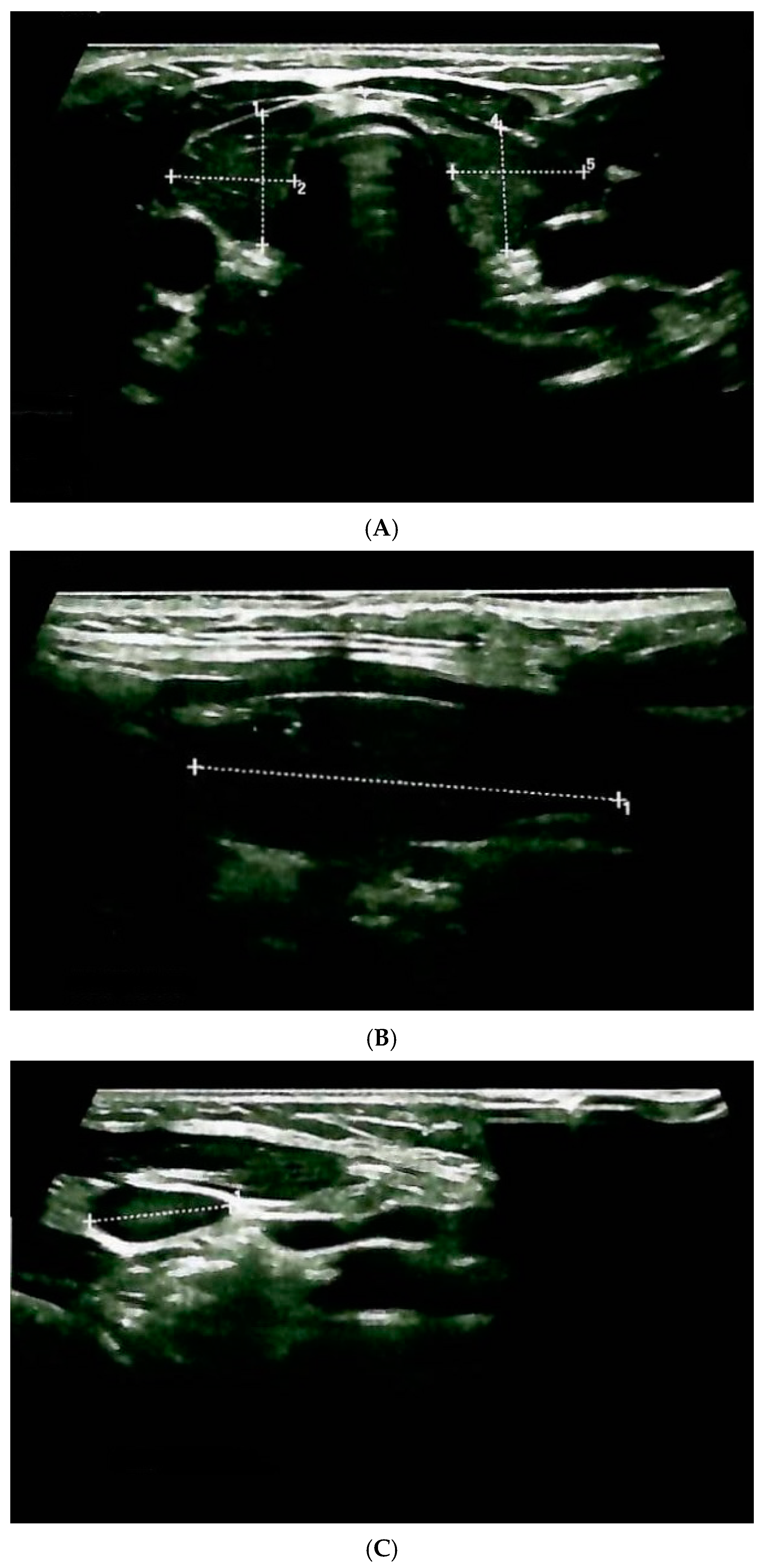 Clinpract 14 00179 g001a