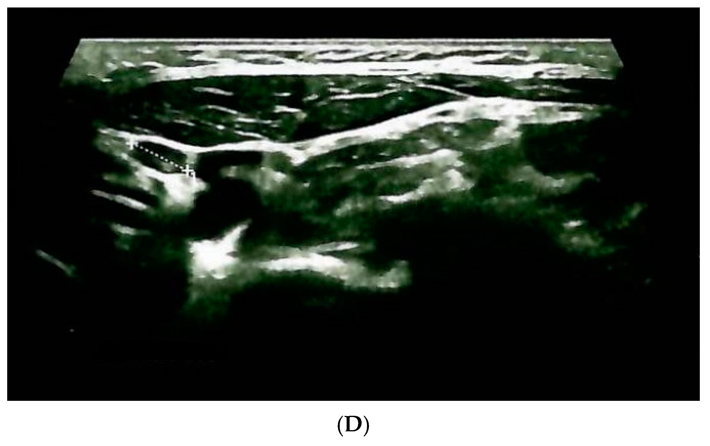 Clinpract 14 00179 g001b