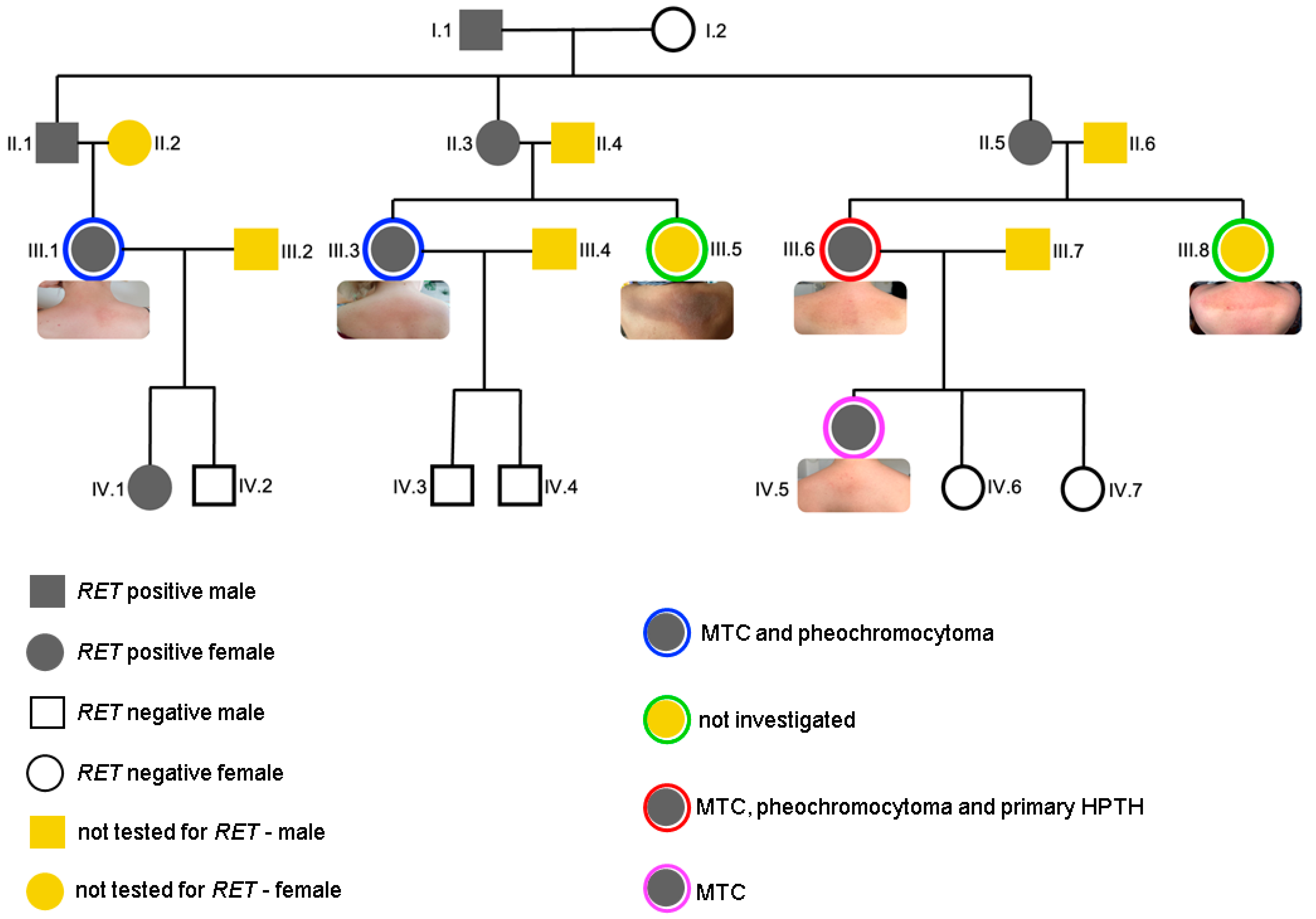 Clinpract 14 00179 g002