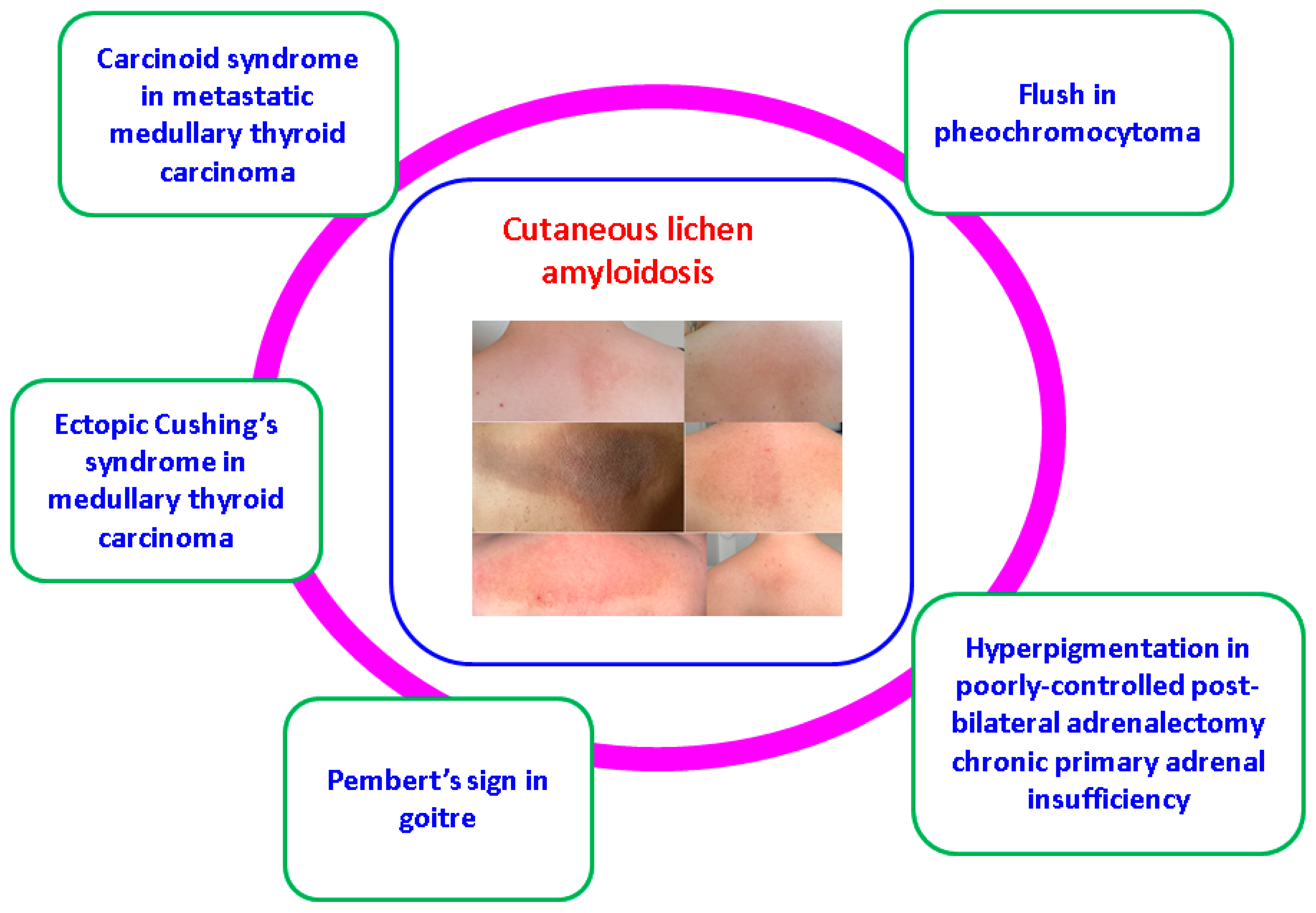 Clinpract 14 00179 g007