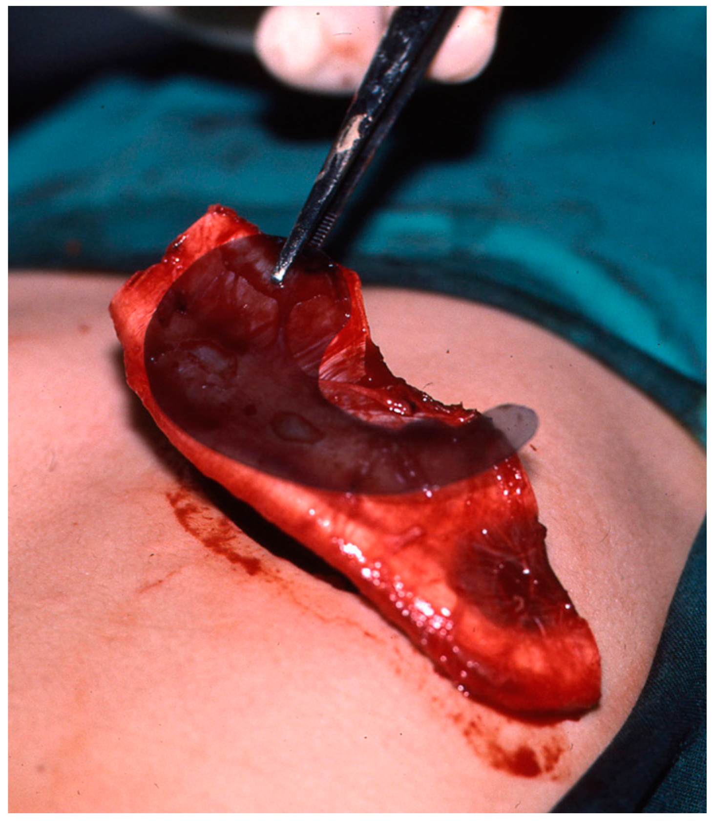 Clinpract 14 00188 g005