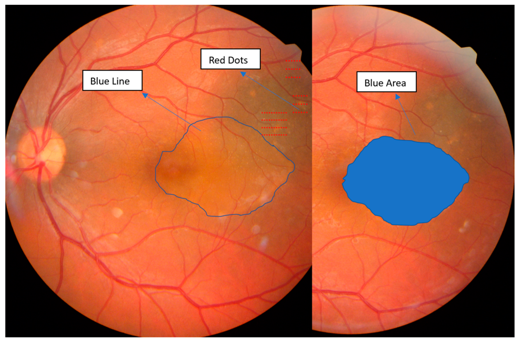 Clinpract 14 00194 g002