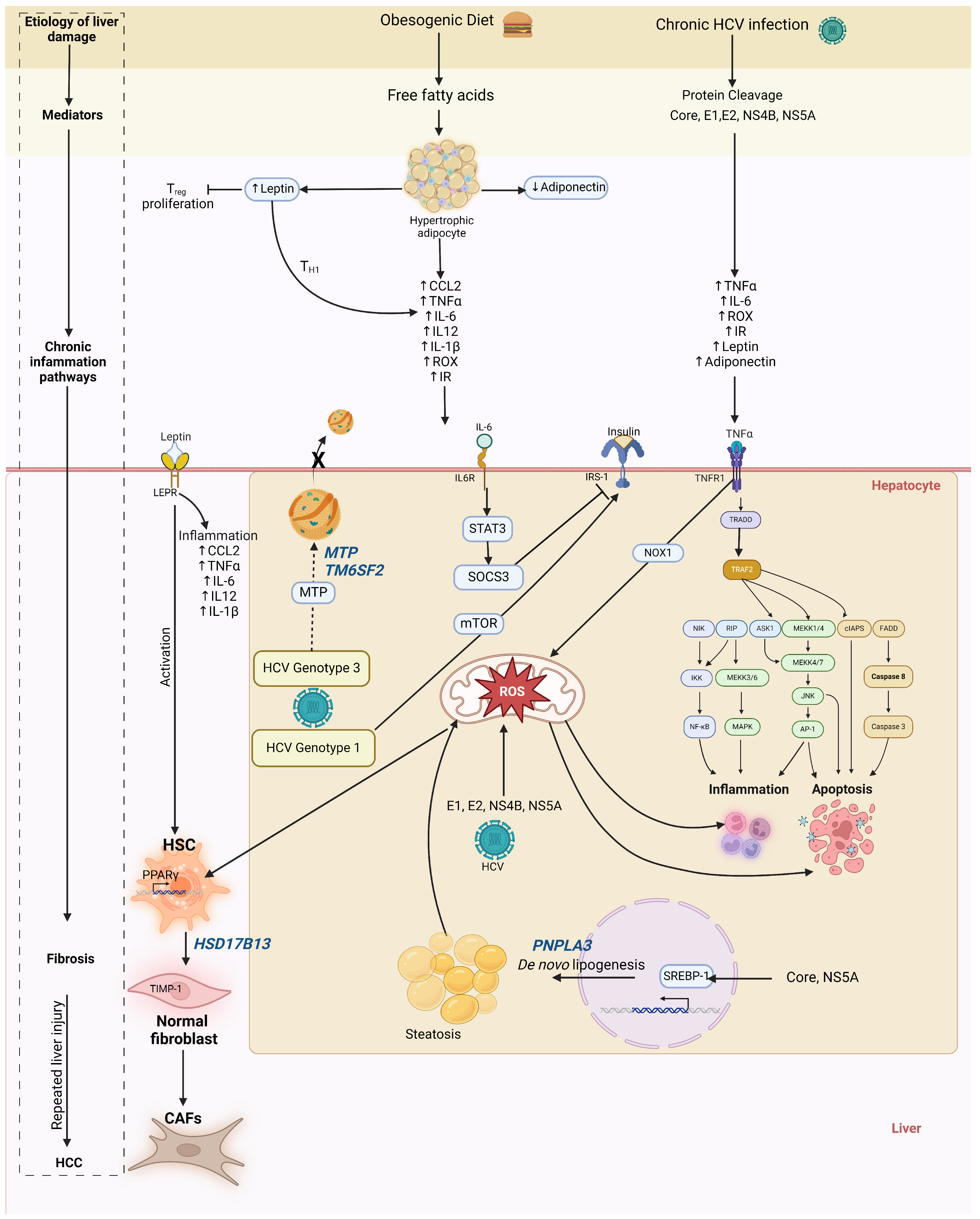 Clinpract 14 00200 g001 Clinpract 14 00200 g001