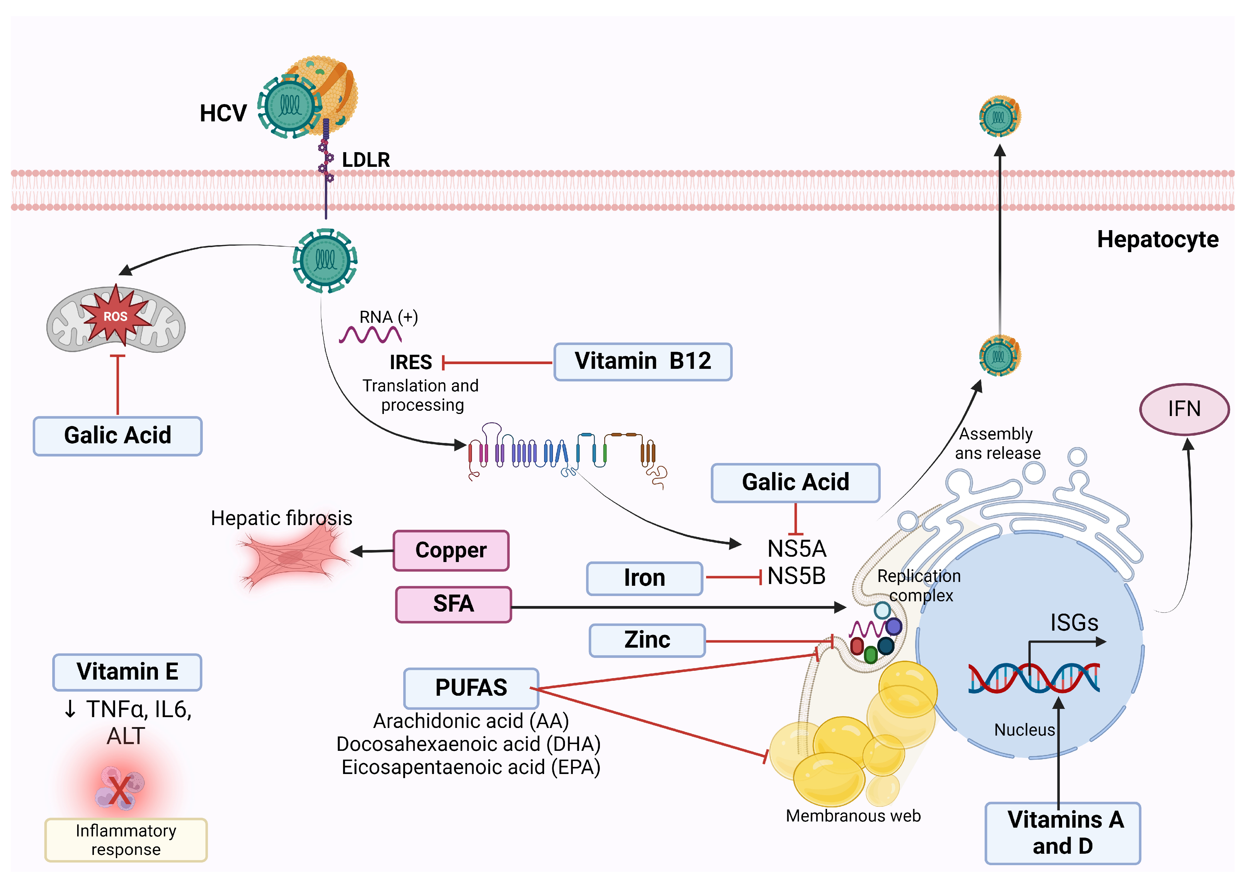 Clinpract 14 00200 g003 Clinpract 14 00200 g003