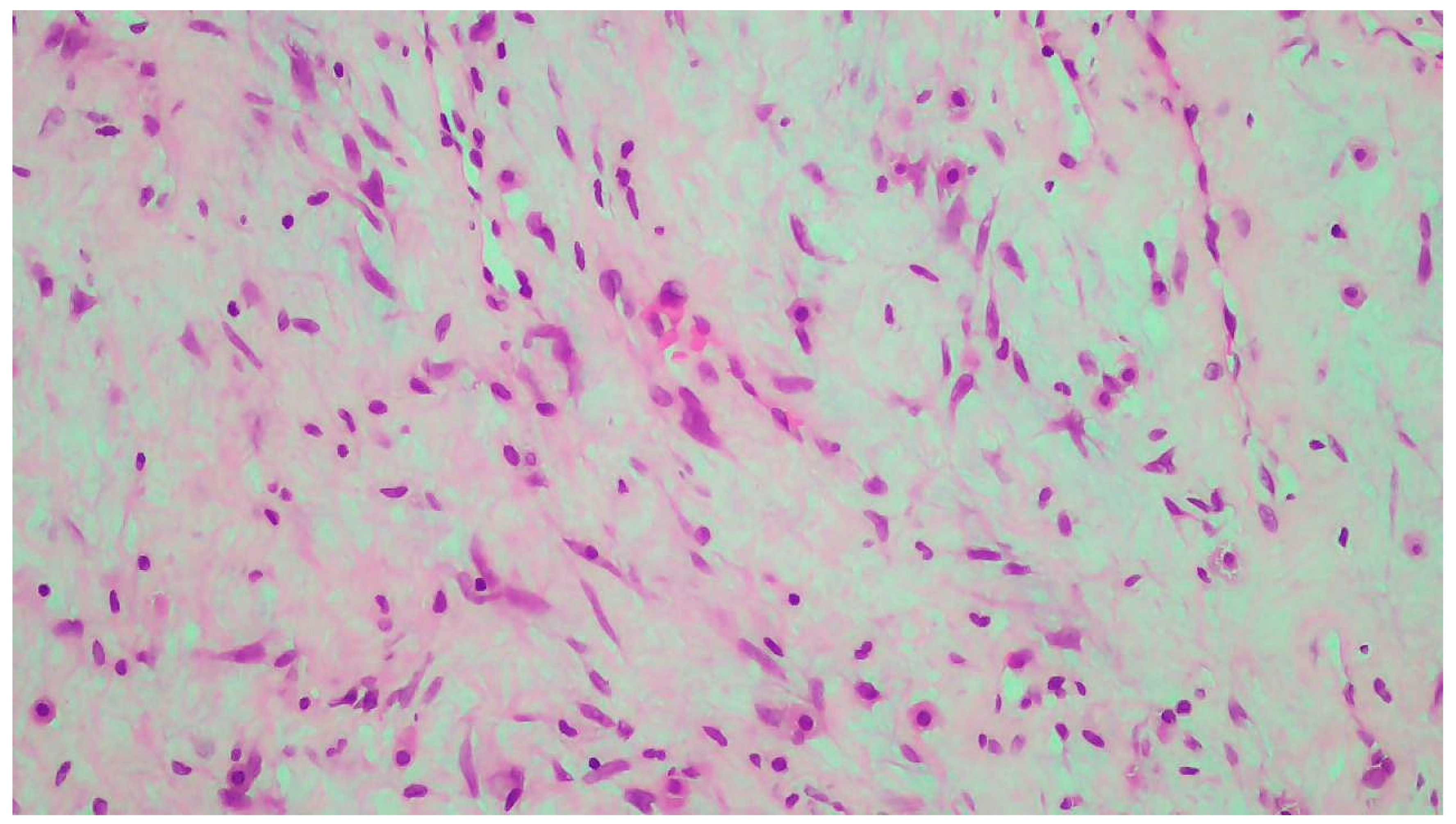 Clinpract 14 00213 g002