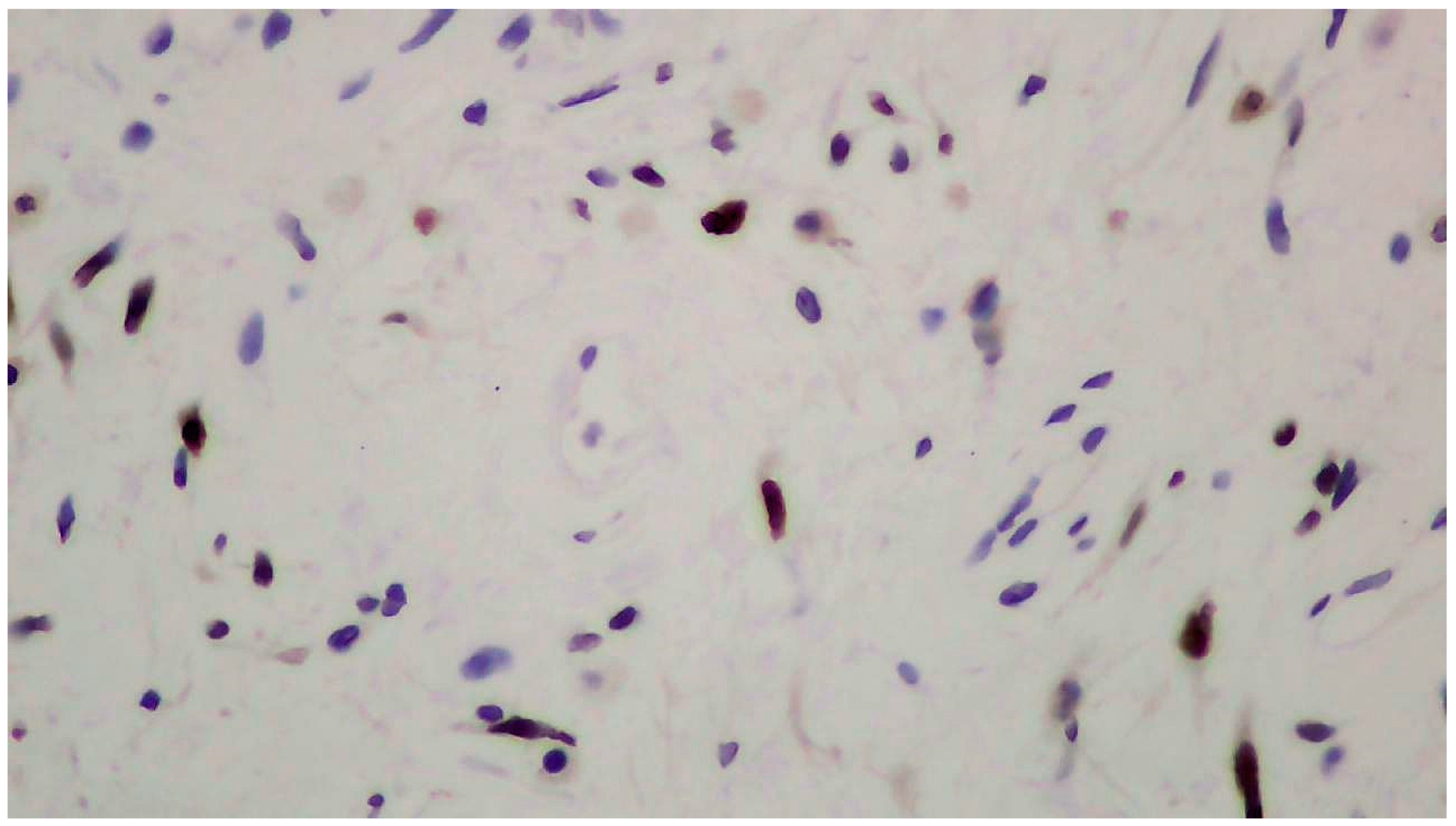 Clinpract 14 00213 g003