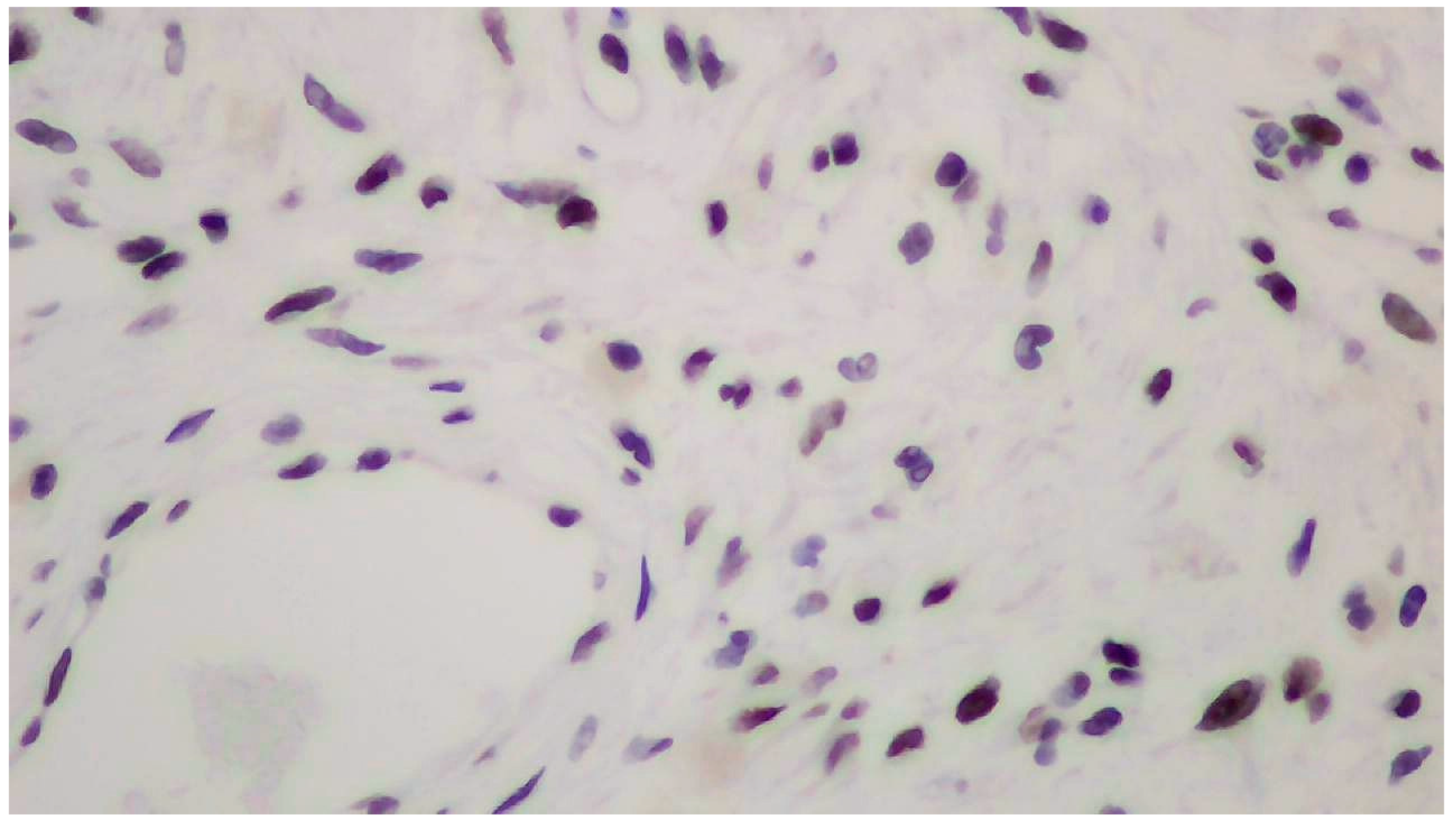 Clinpract 14 00213 g004