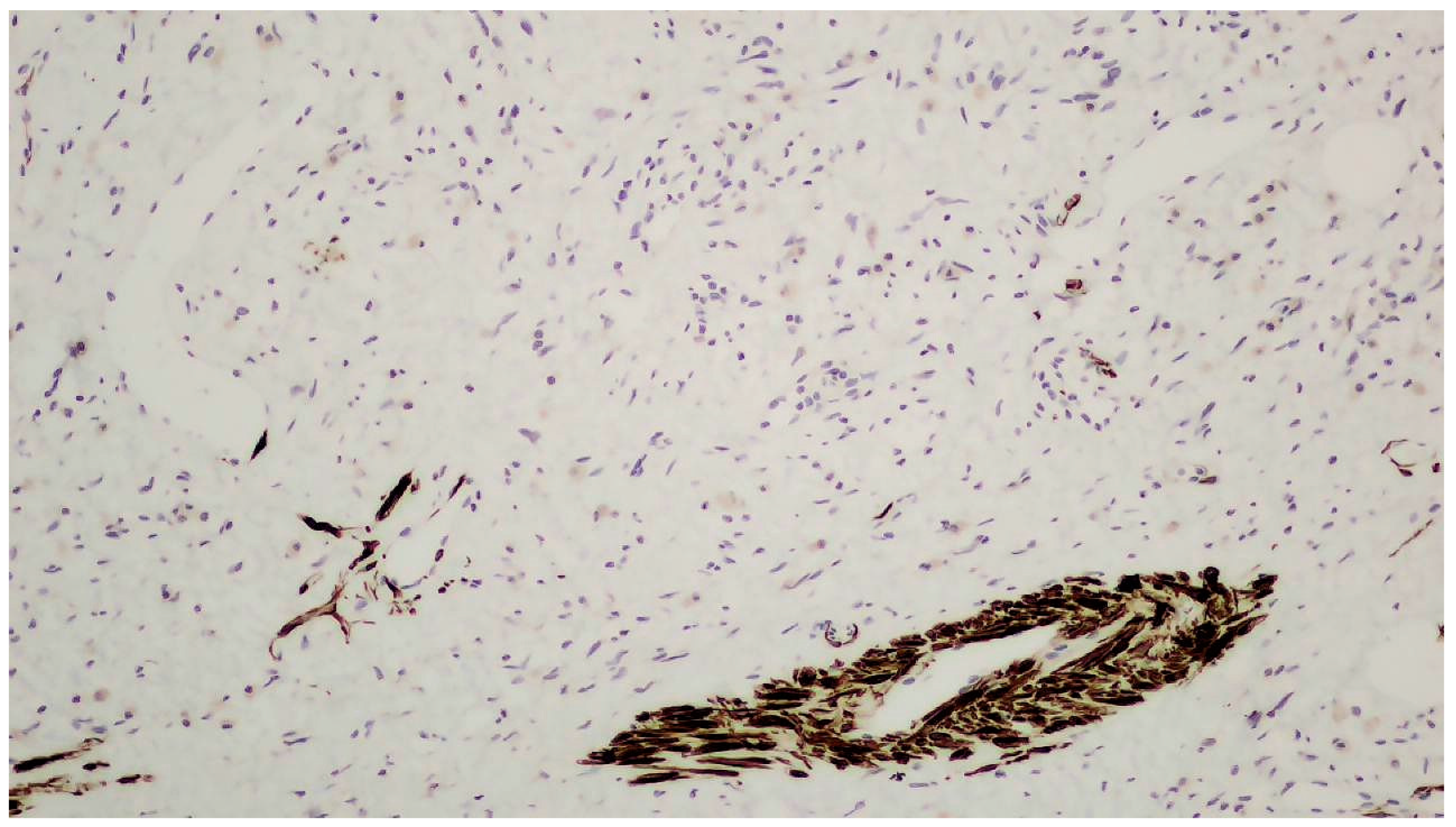 Clinpract 14 00213 g005