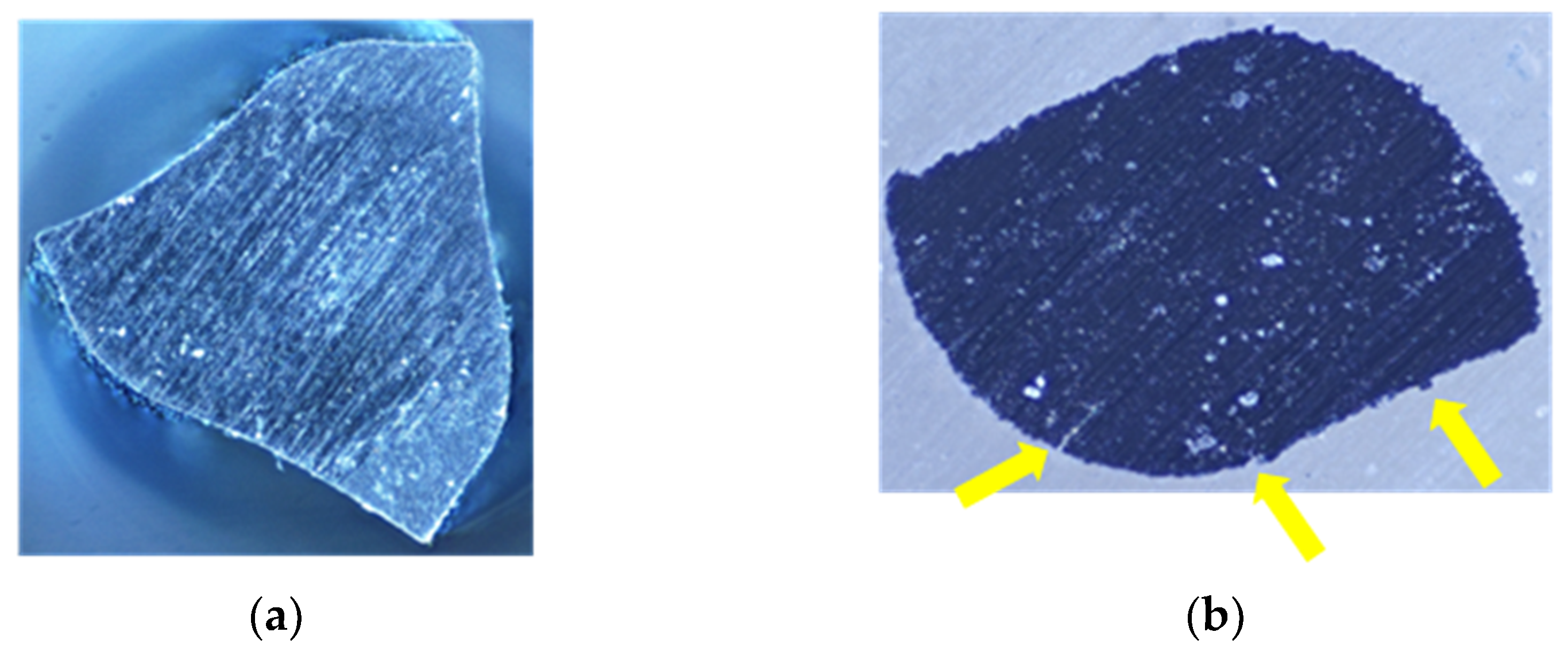 Clinpract 15 00003 g006