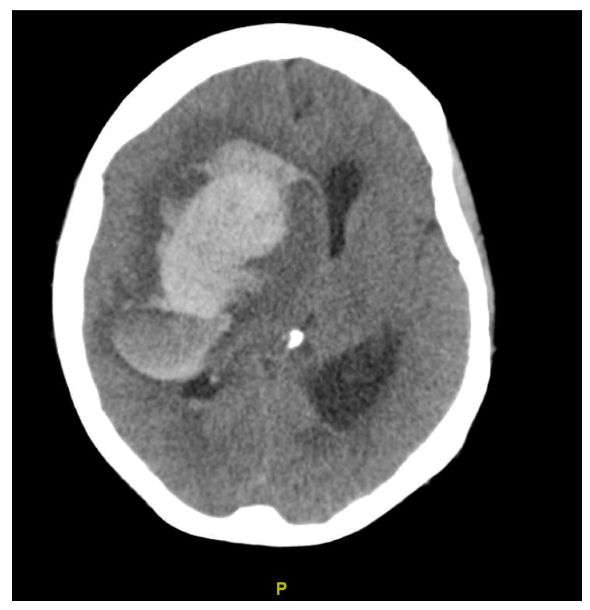 Clinpract 15 00005 g002