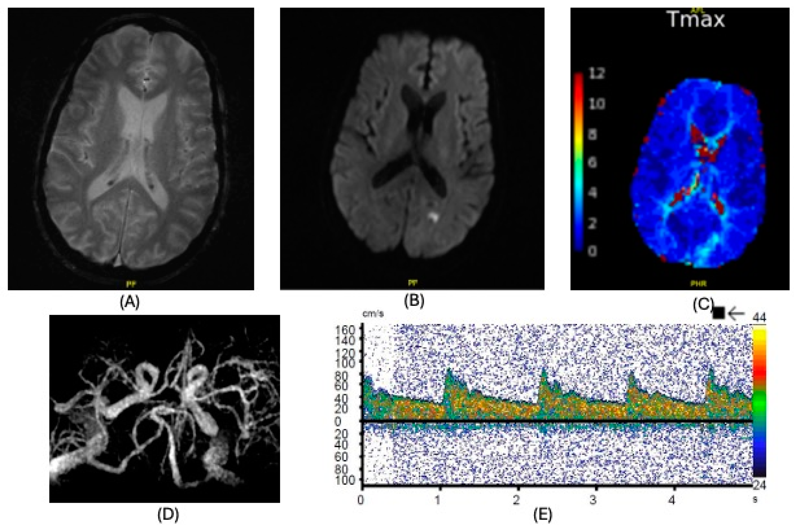 Clinpract 15 00005 g004