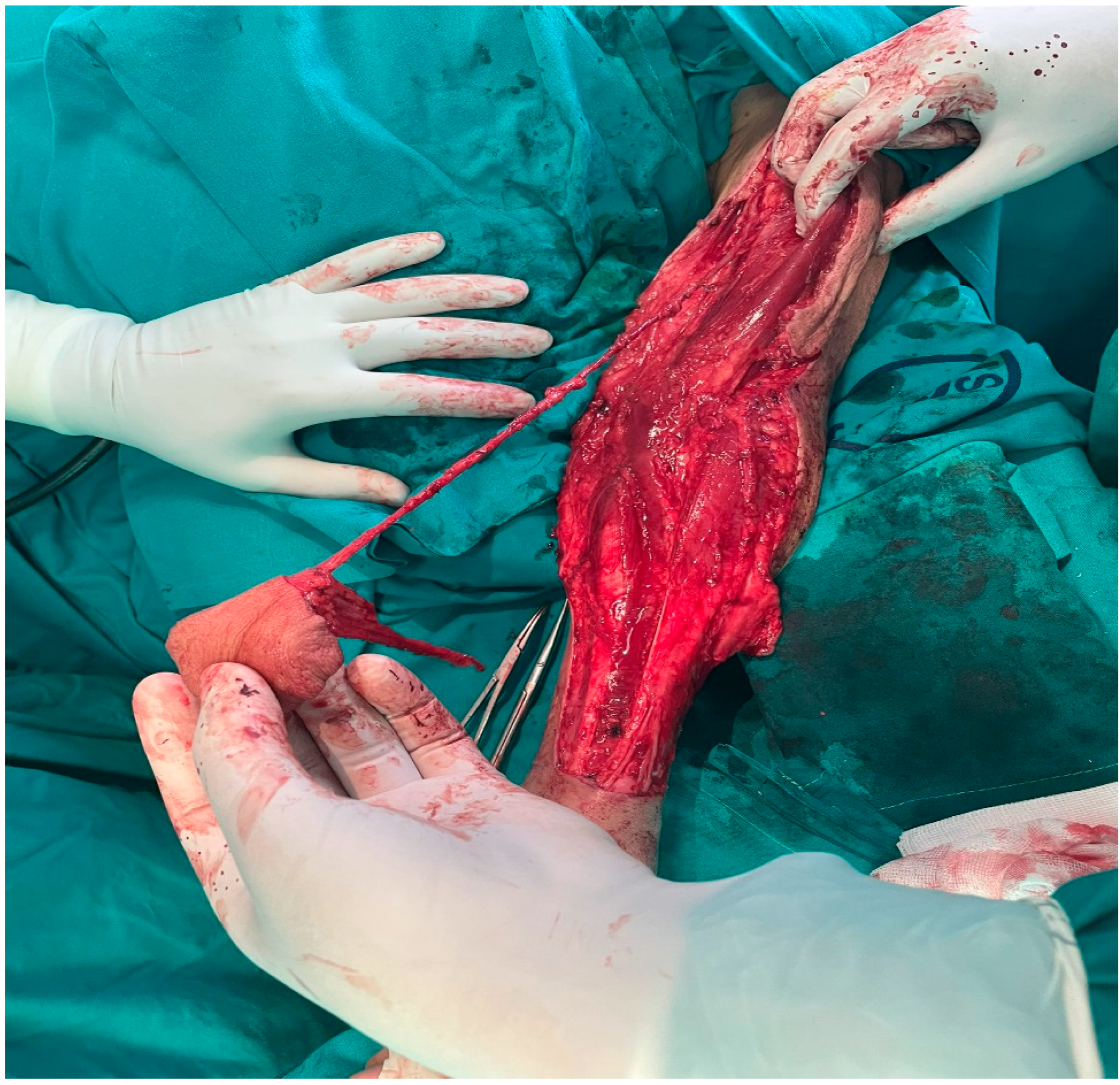 Clinpract 15 00006 g001