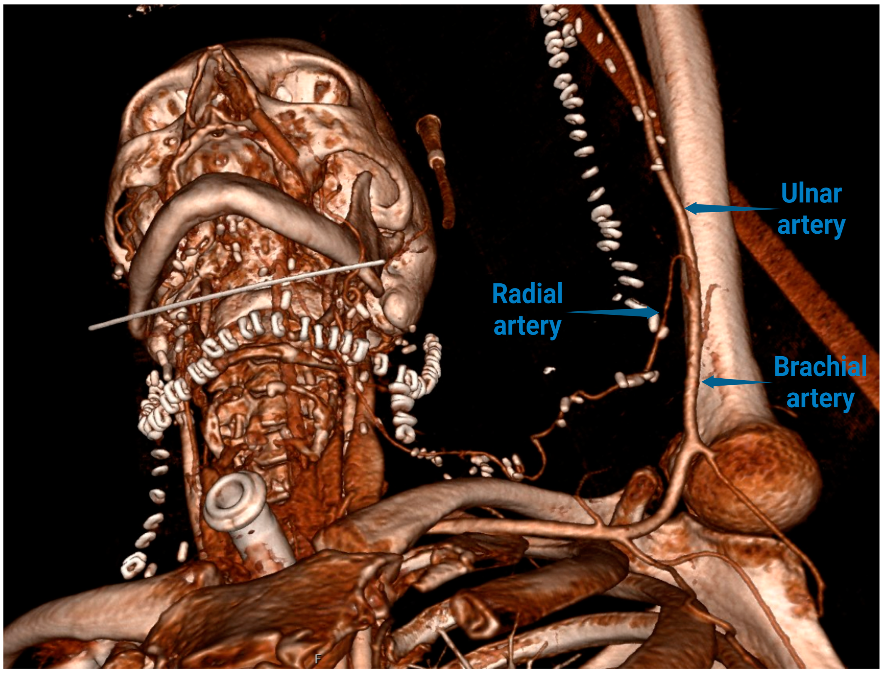 Clinpract 15 00006 g002