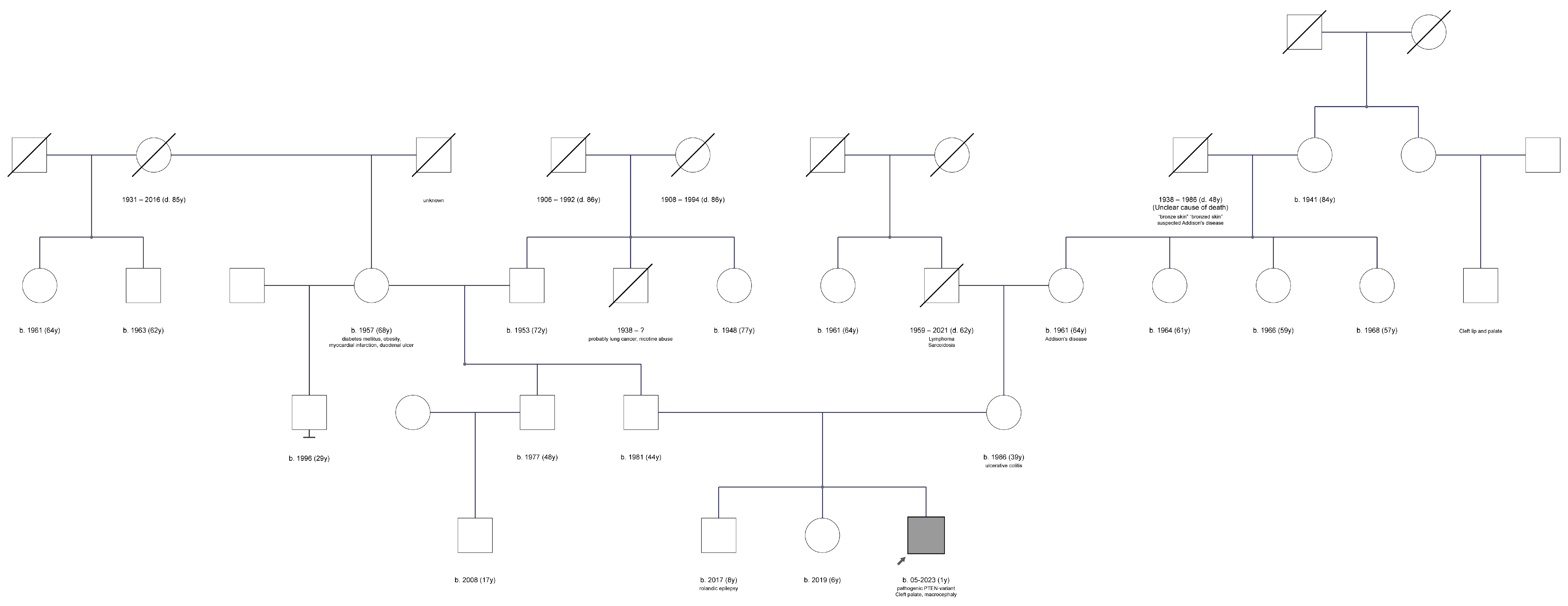 Clinpract 15 00022 g001
