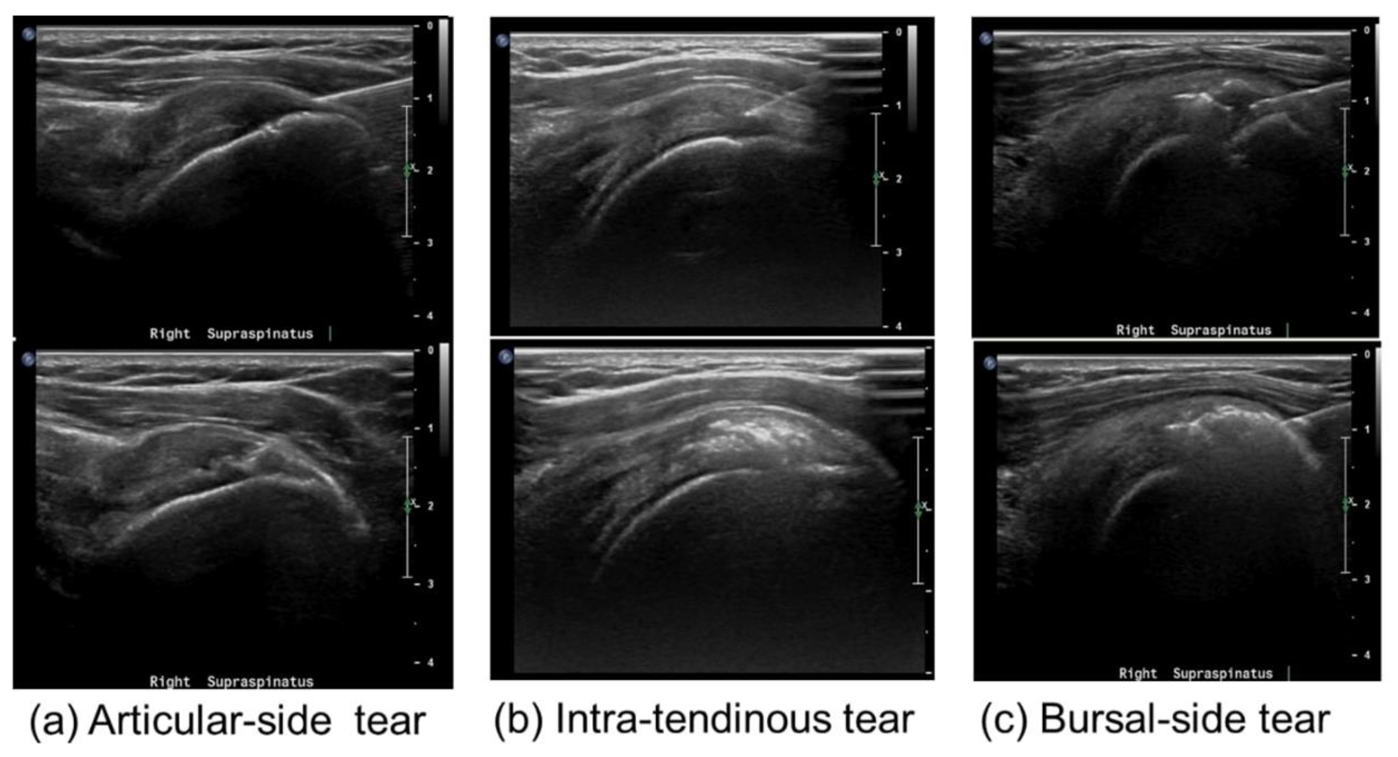 Clinpract 15 00028 g002