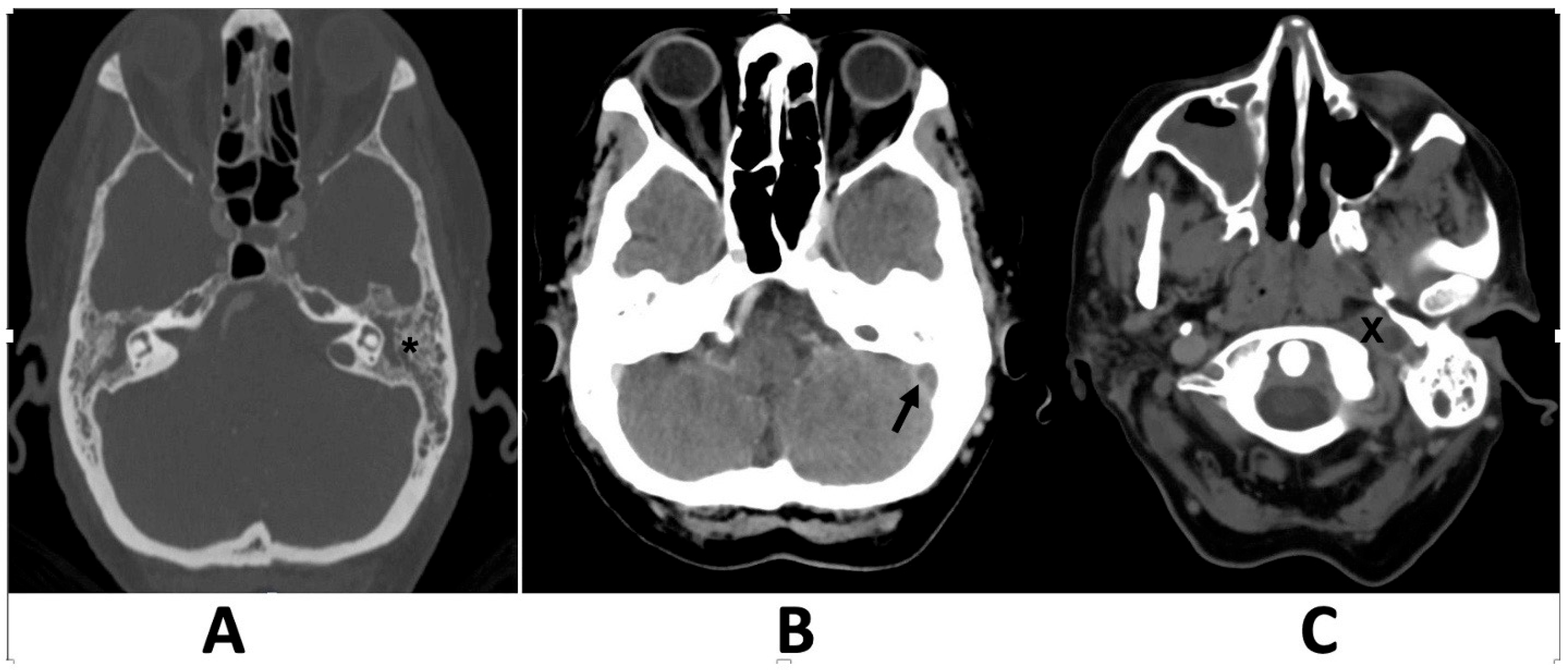 Clinpract 15 00034 g001
