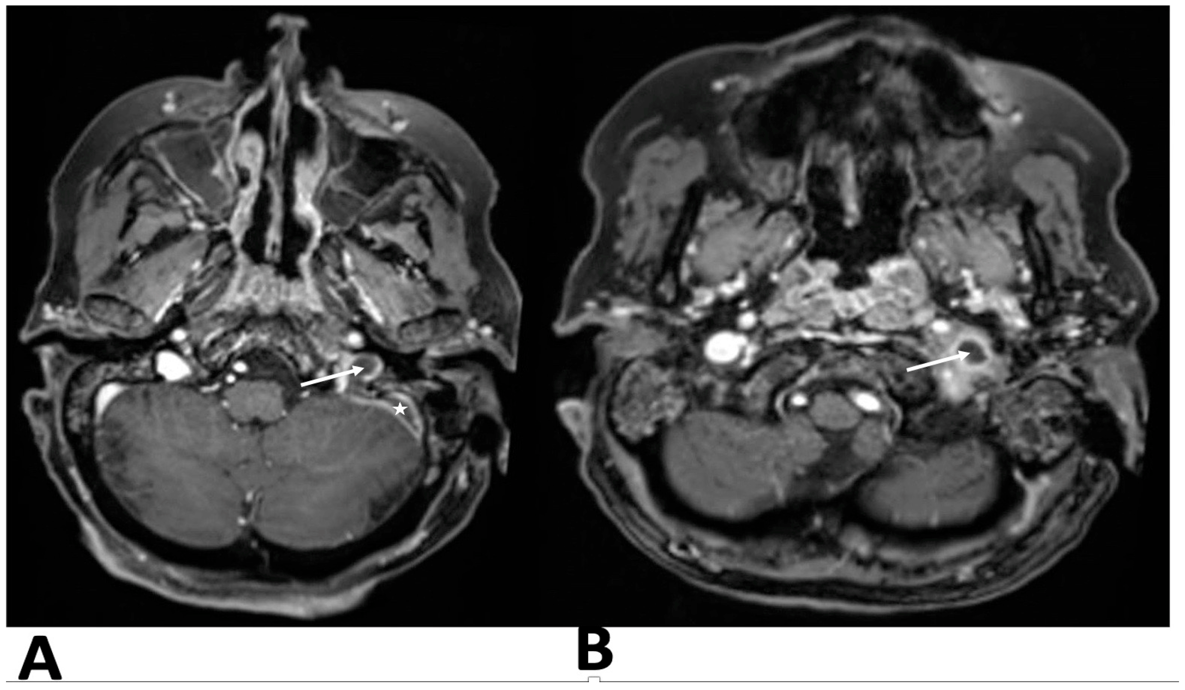 Clinpract 15 00034 g002