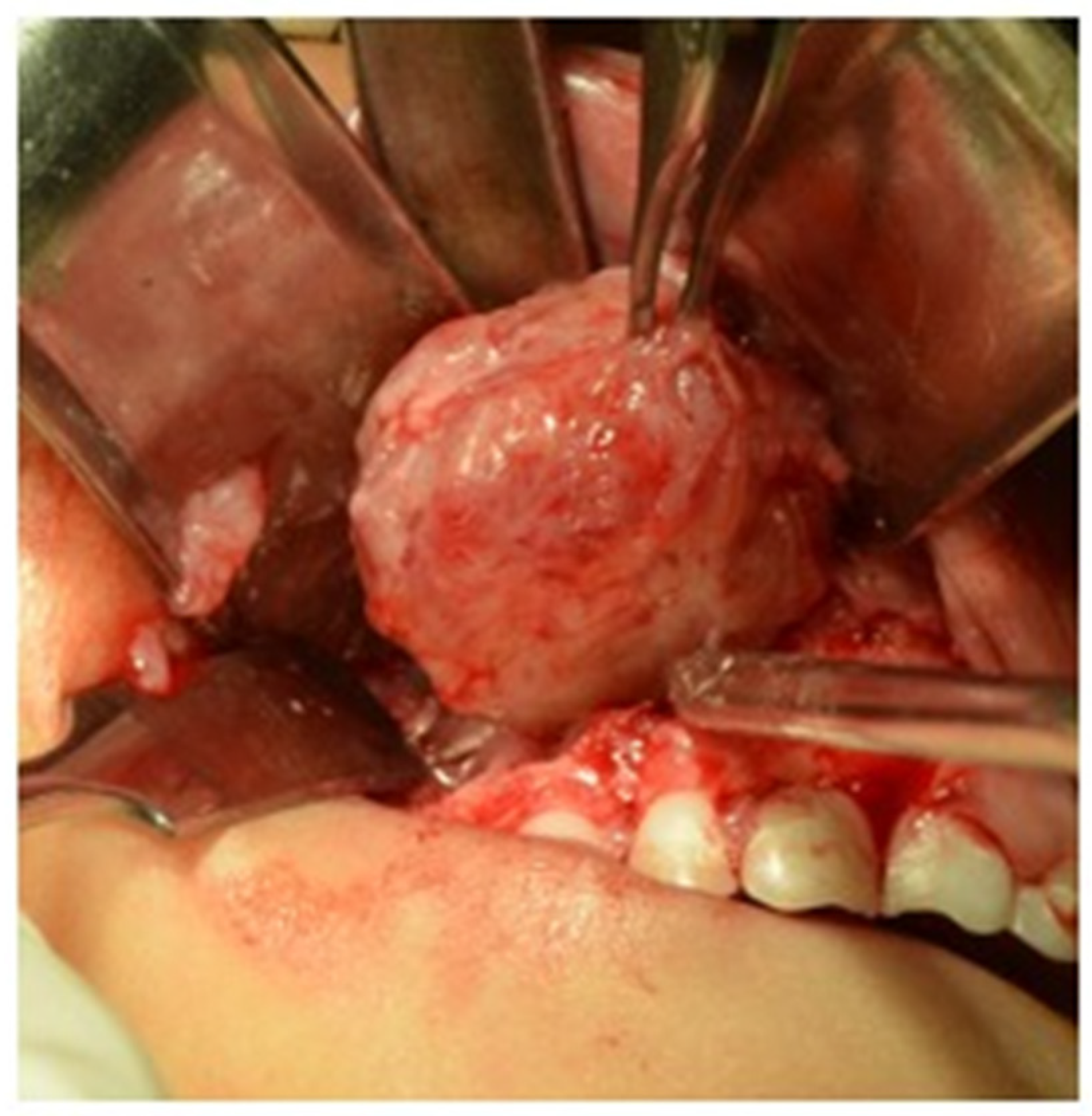 Clinpract 15 00039 g003