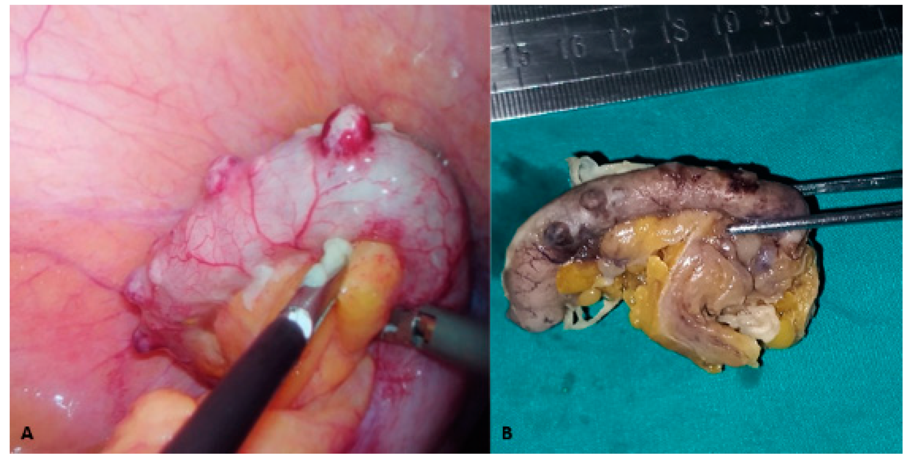 Clinpract 15 00060 g002