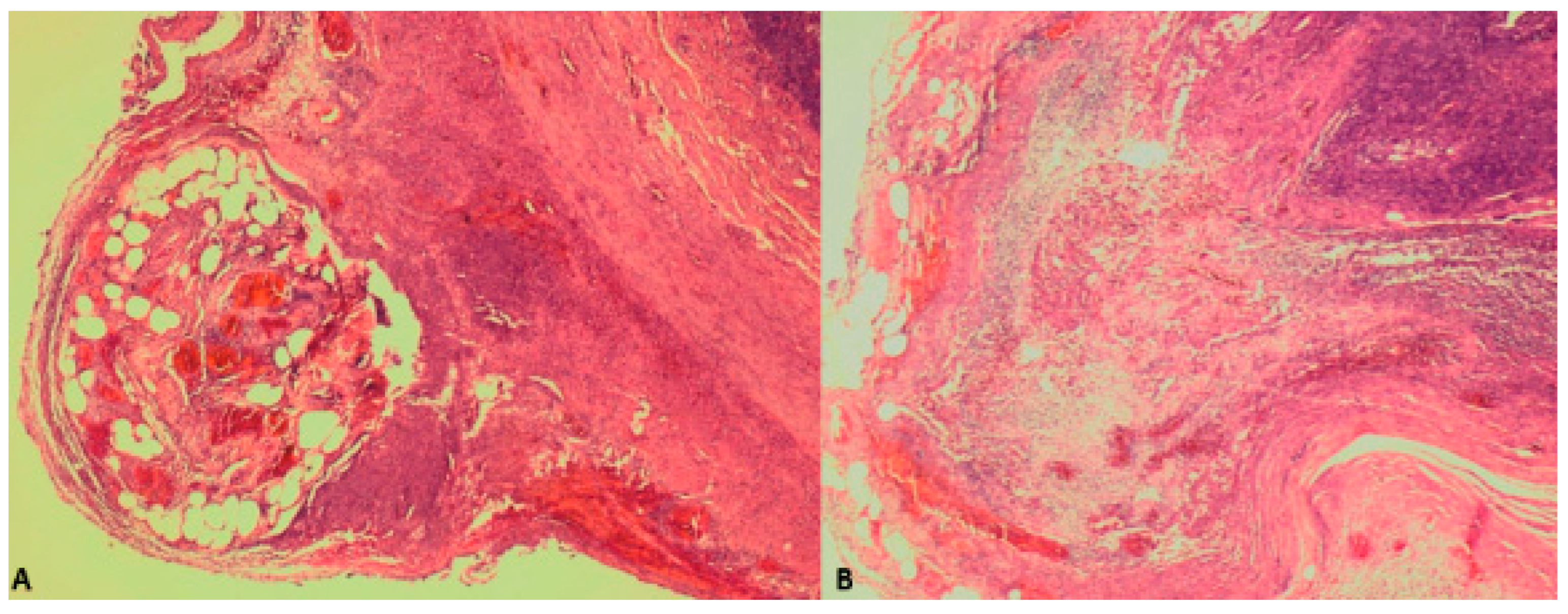 Clinpract 15 00060 g003